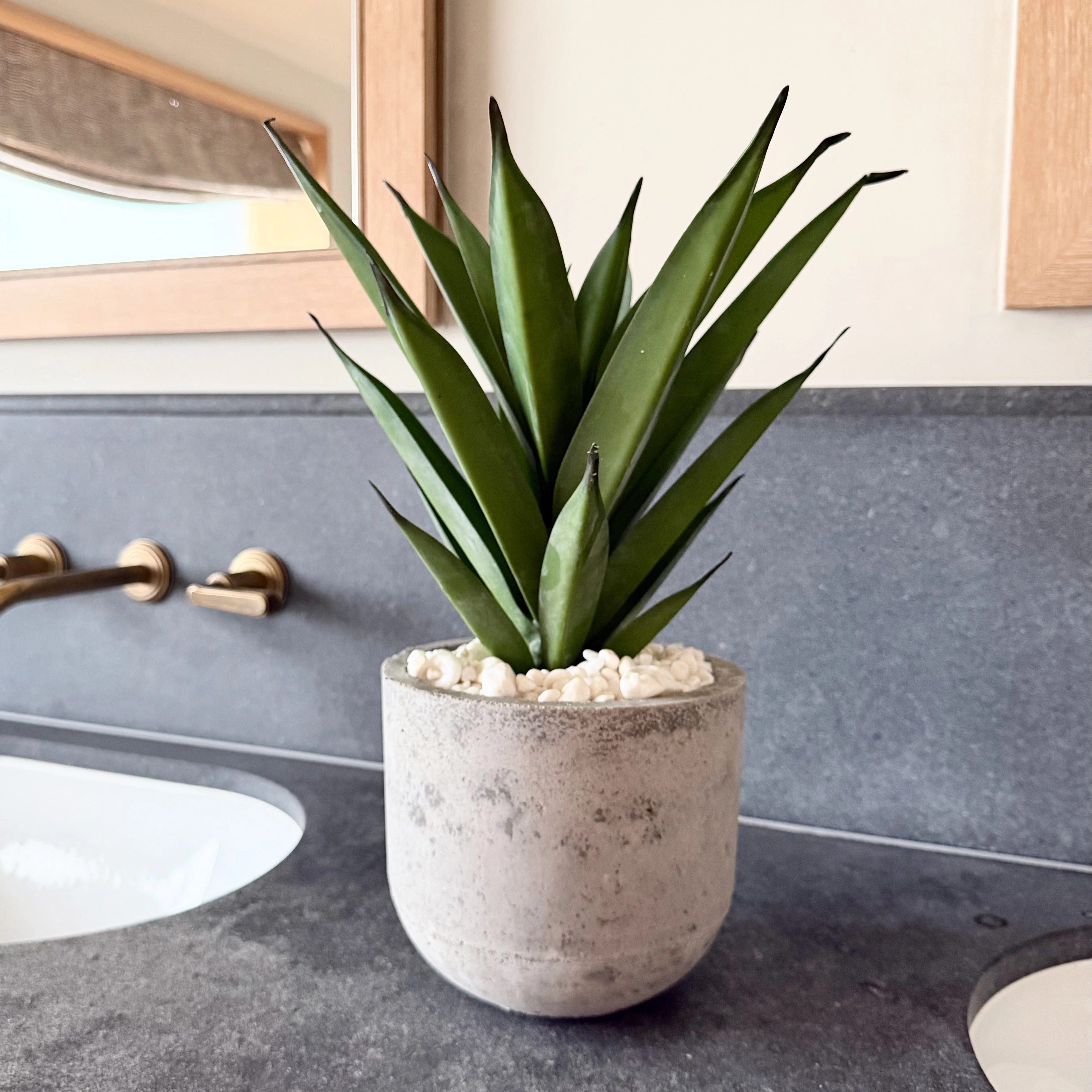 Artificial Aloe Vera in Grey Cement Pot - Image 2