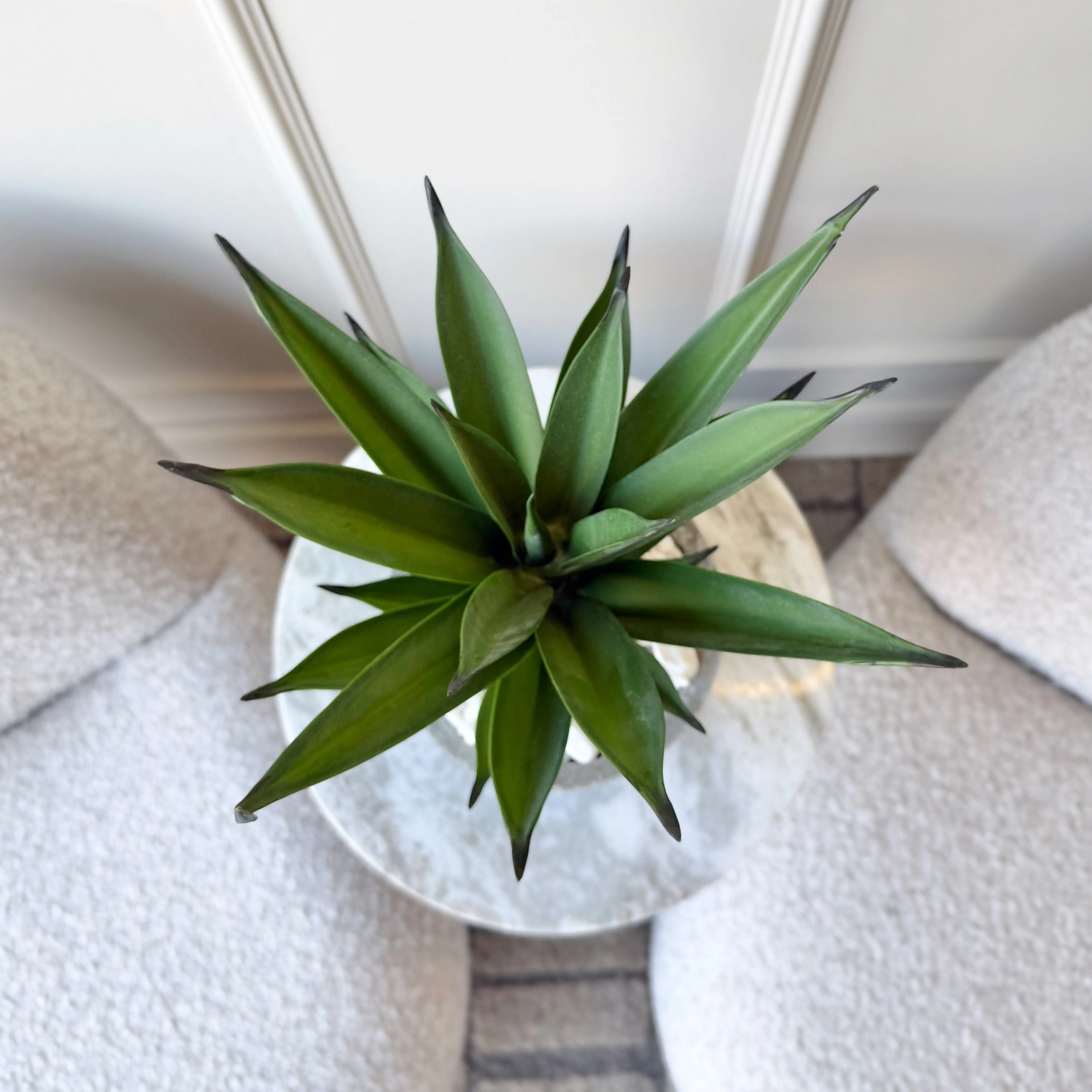 Artificial Aloe Vera in Grey Cement Pot - Image 4