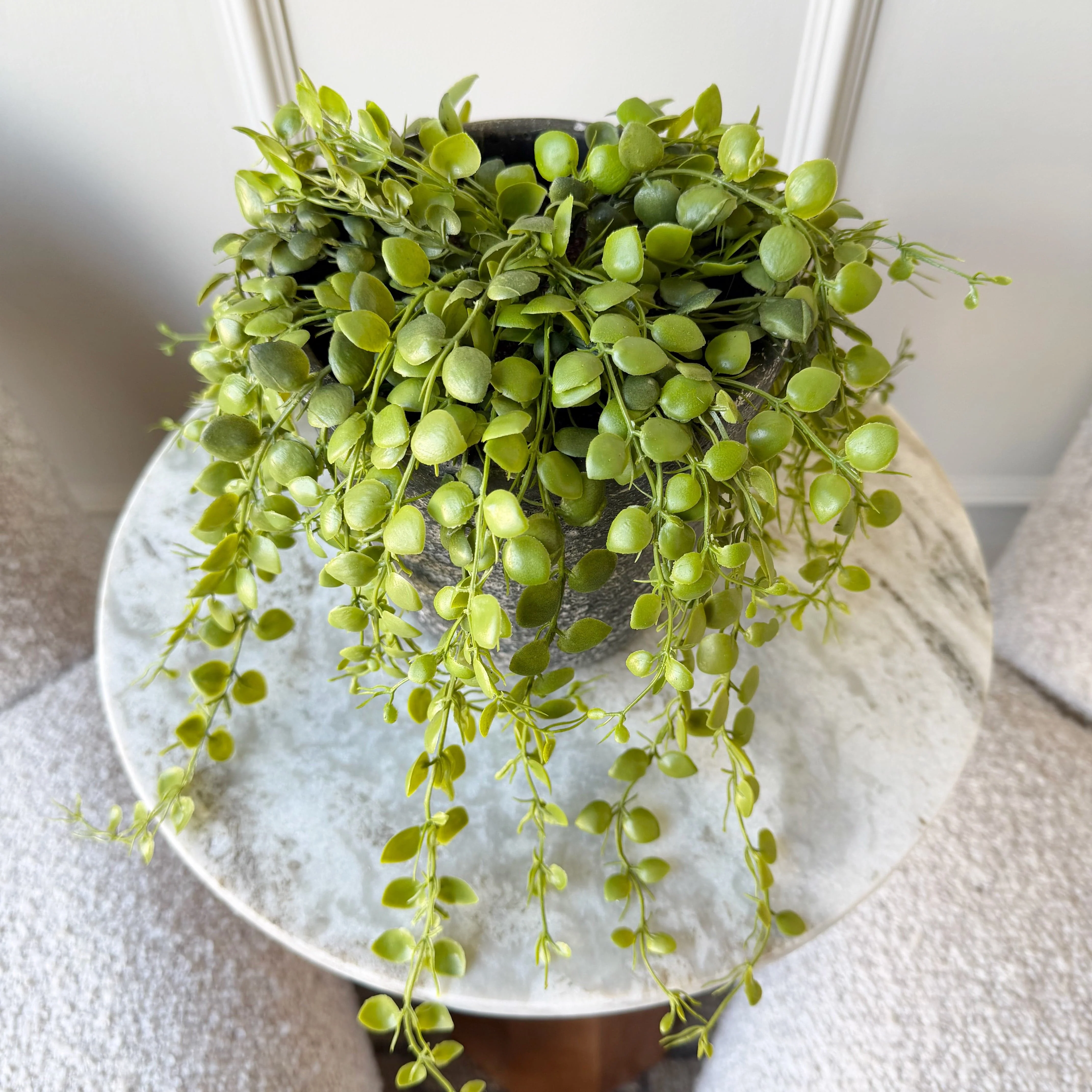 Artificial Green Trailing Button Fern In Pot - Image 3
