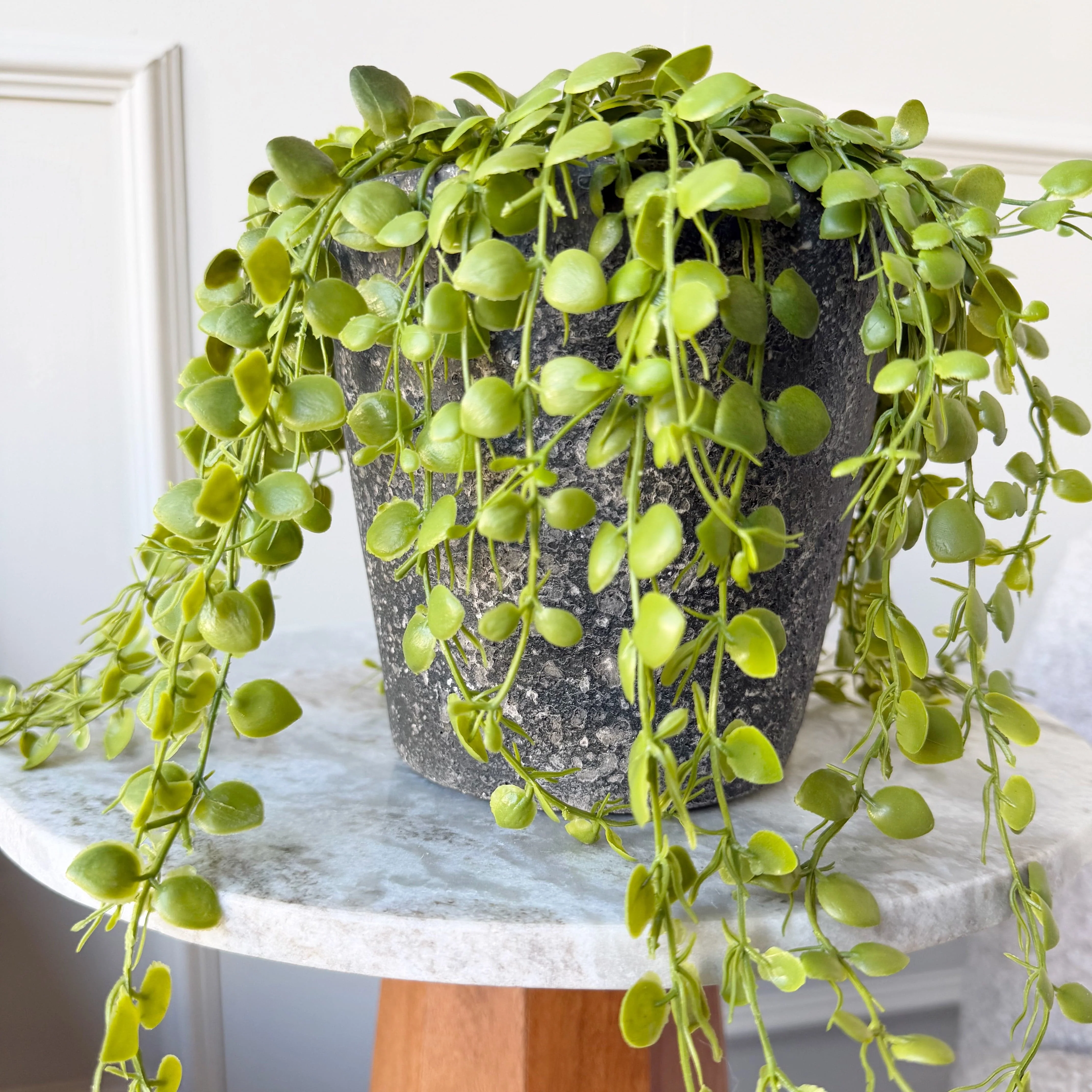Artificial Green Trailing Button Fern In Pot - Image 4