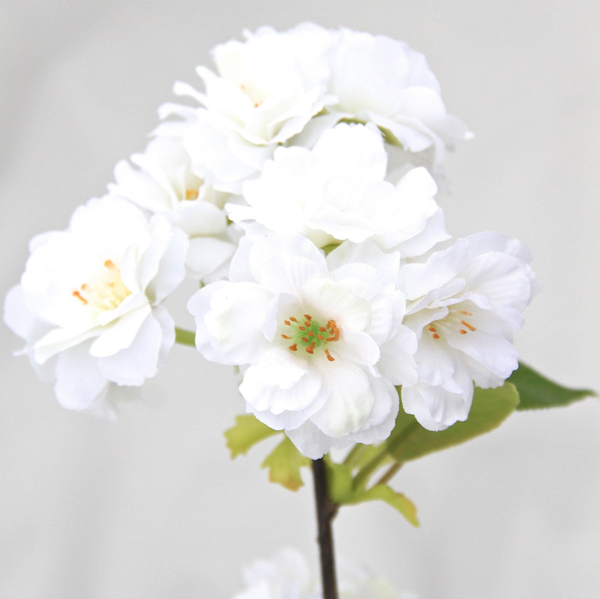Cherry Blossom Bouquet & Oriental Vase Set - Image 6