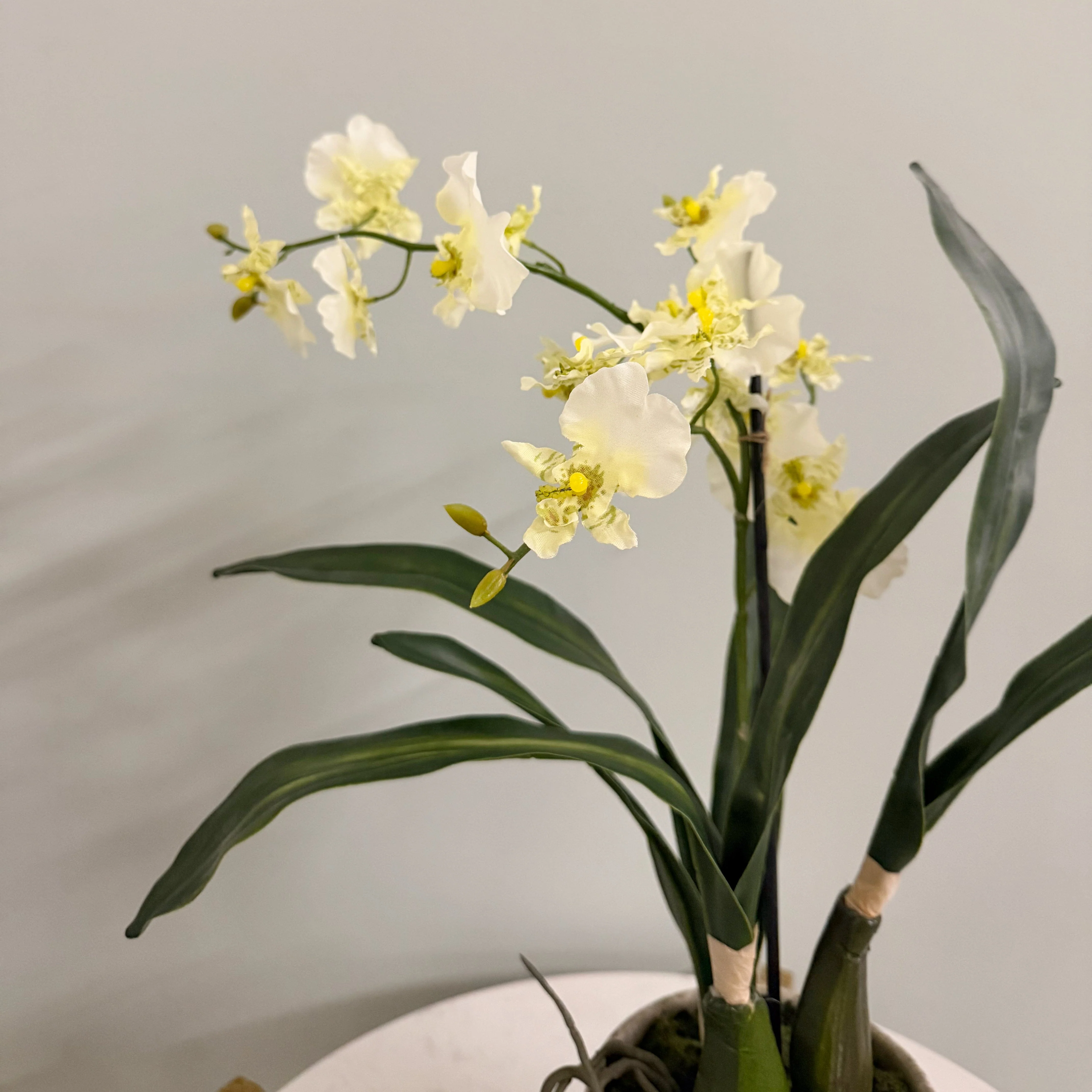Artificial Dancing Orchid in Khaki Ceramic Pot - Image 4