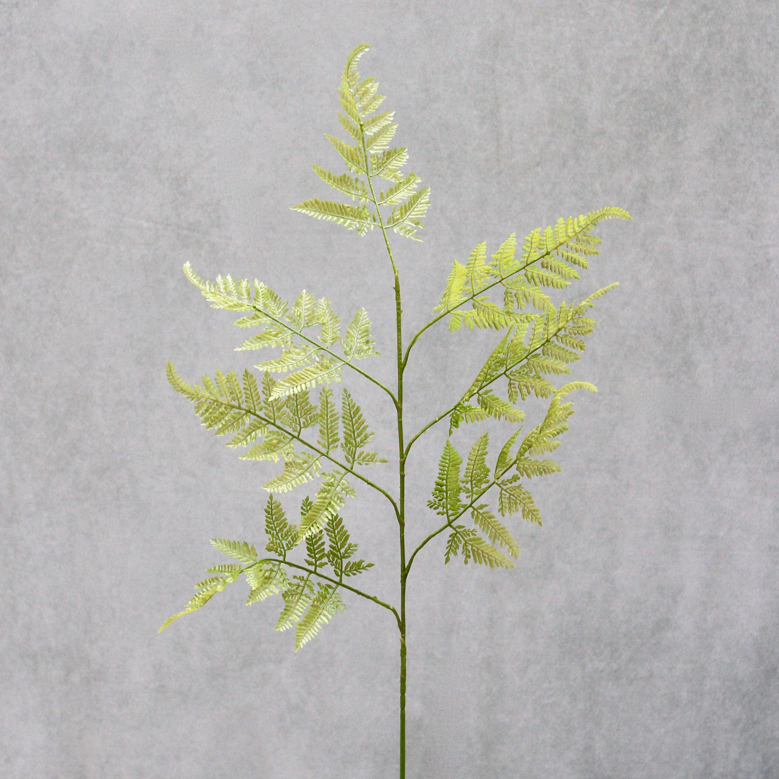 Artificial Green Bracken Fern - Image 6
