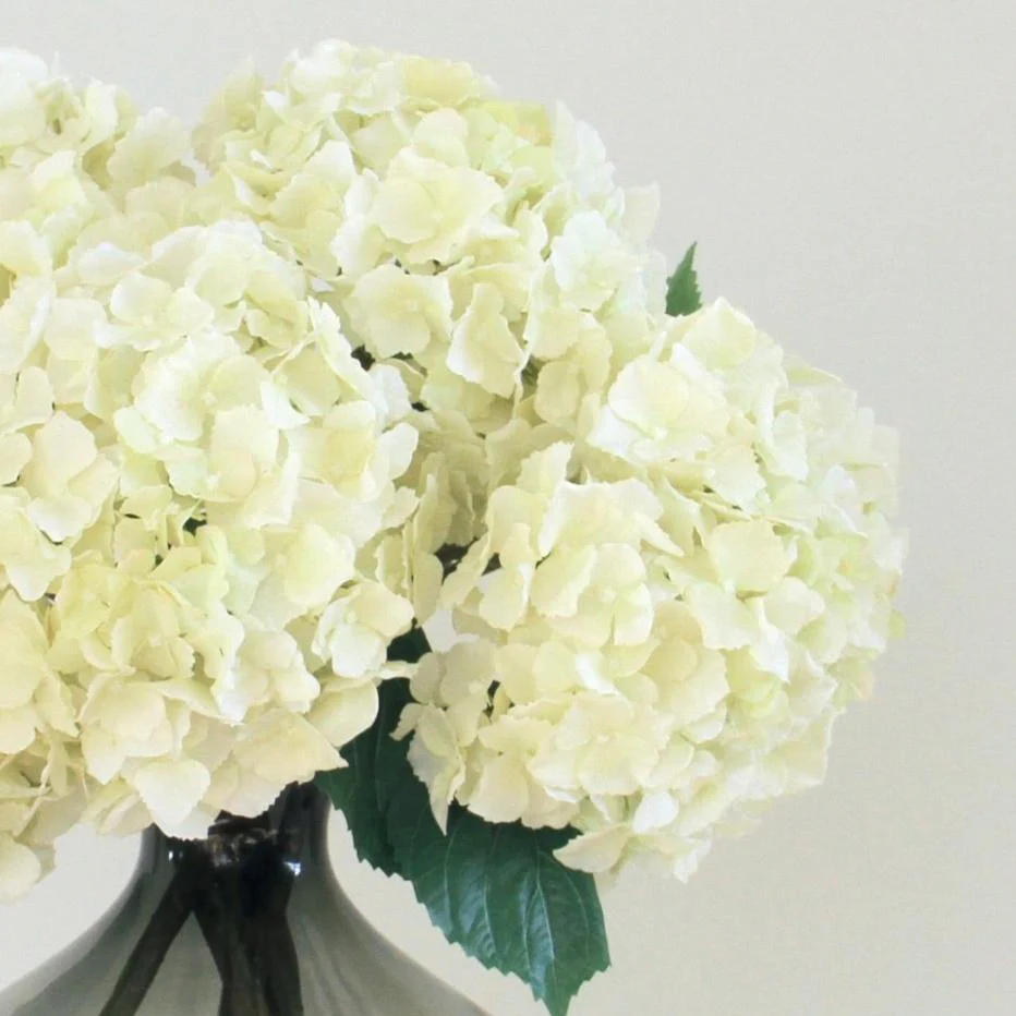 Artificial Cream Hydrangea Lacecap - Image 3