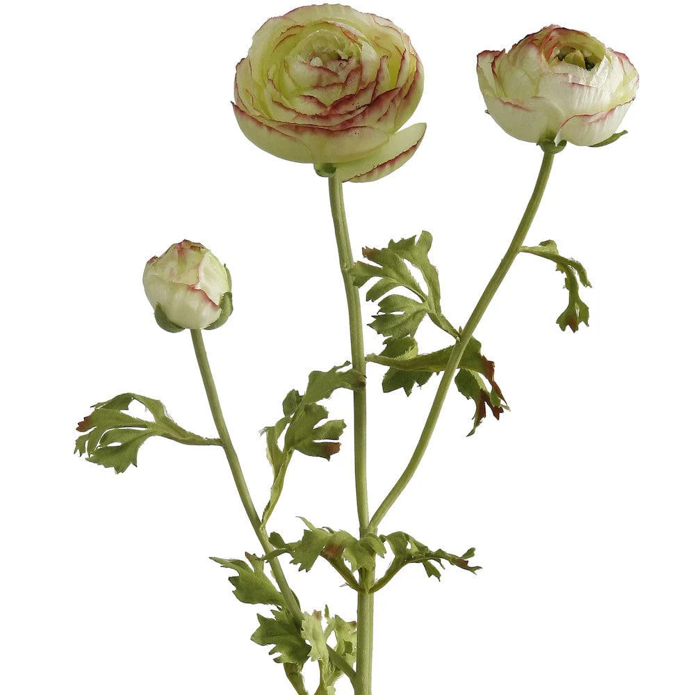 Artificial Green Ranunculus - Image 6
