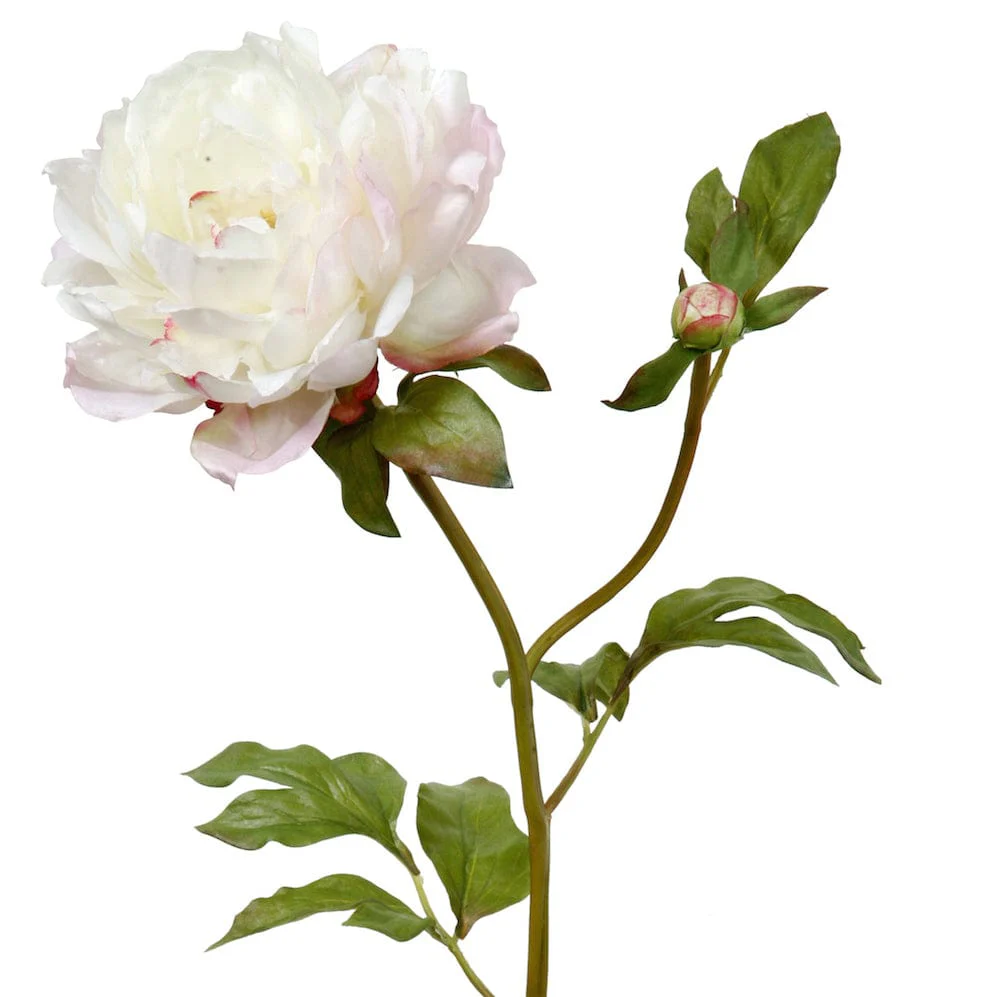 Artificial White Classic Peony - Image 3