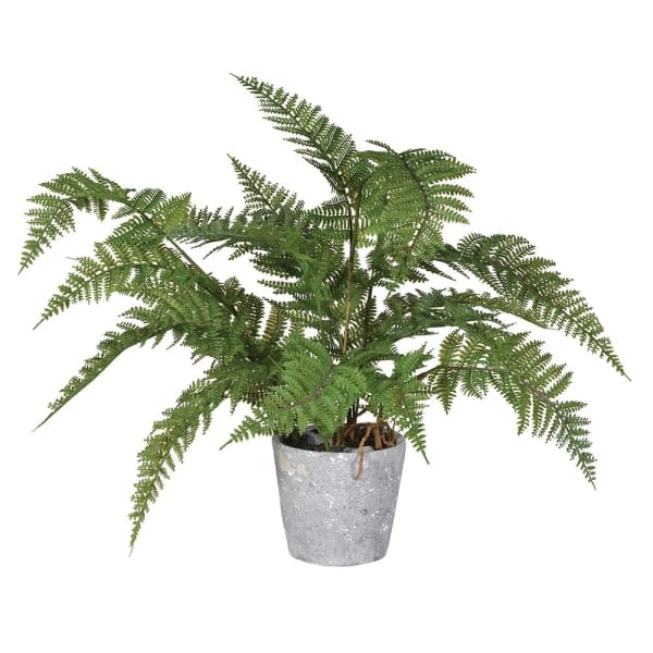 Artificial Green Bracken Fern in Cement Pot - Image 3