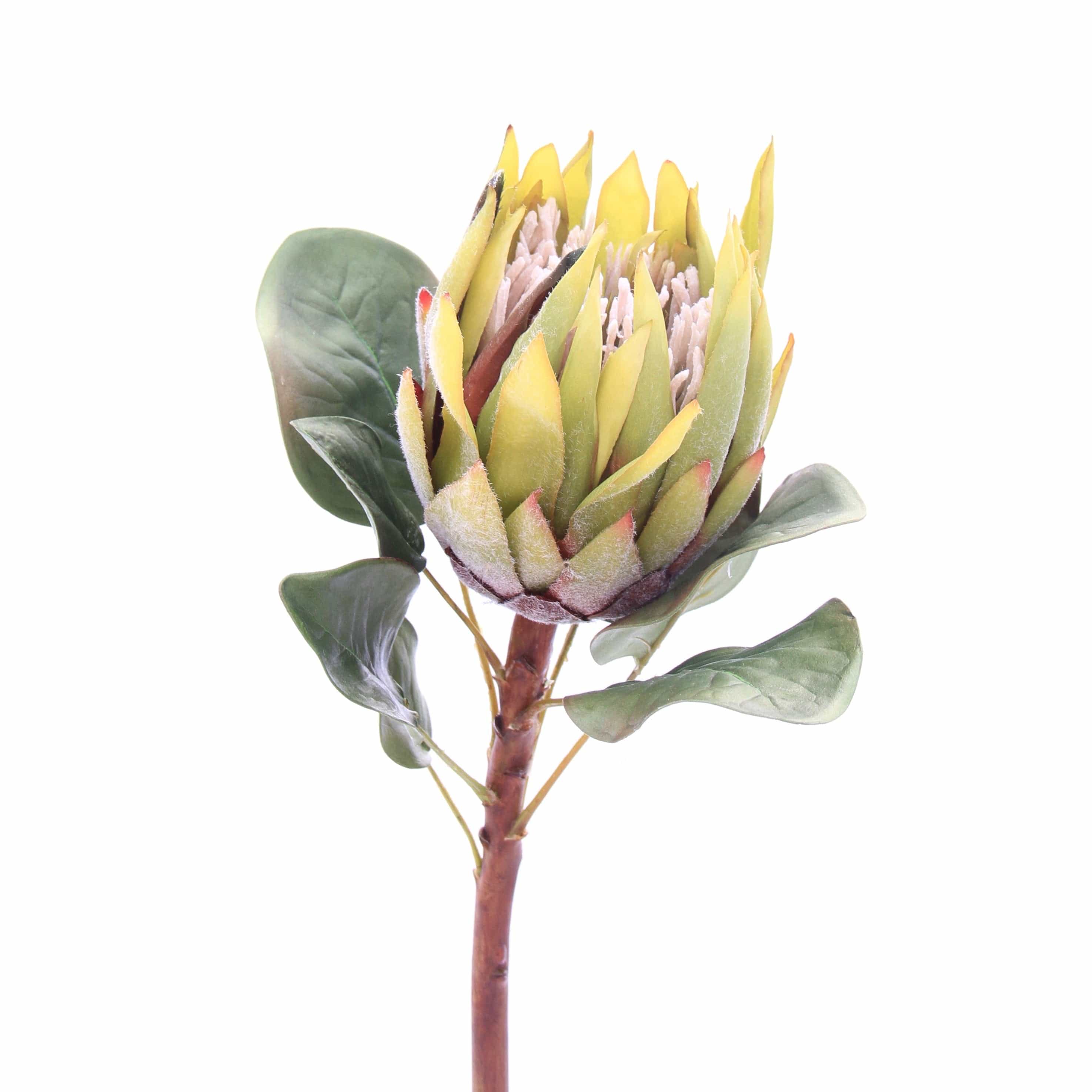 Artificial Green King Protea - Image 6