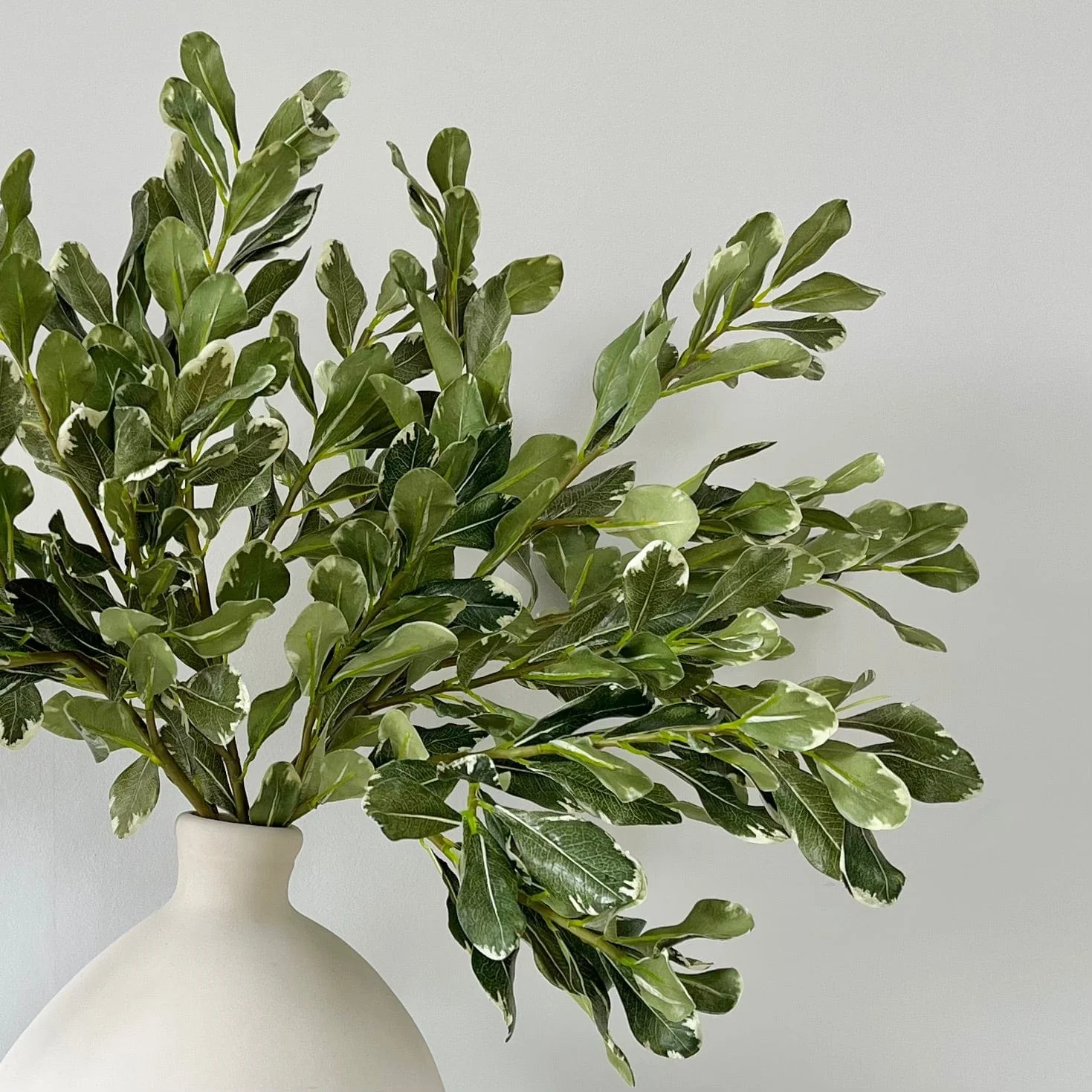 Artificial Green Pittosporum Leaves - Image 3