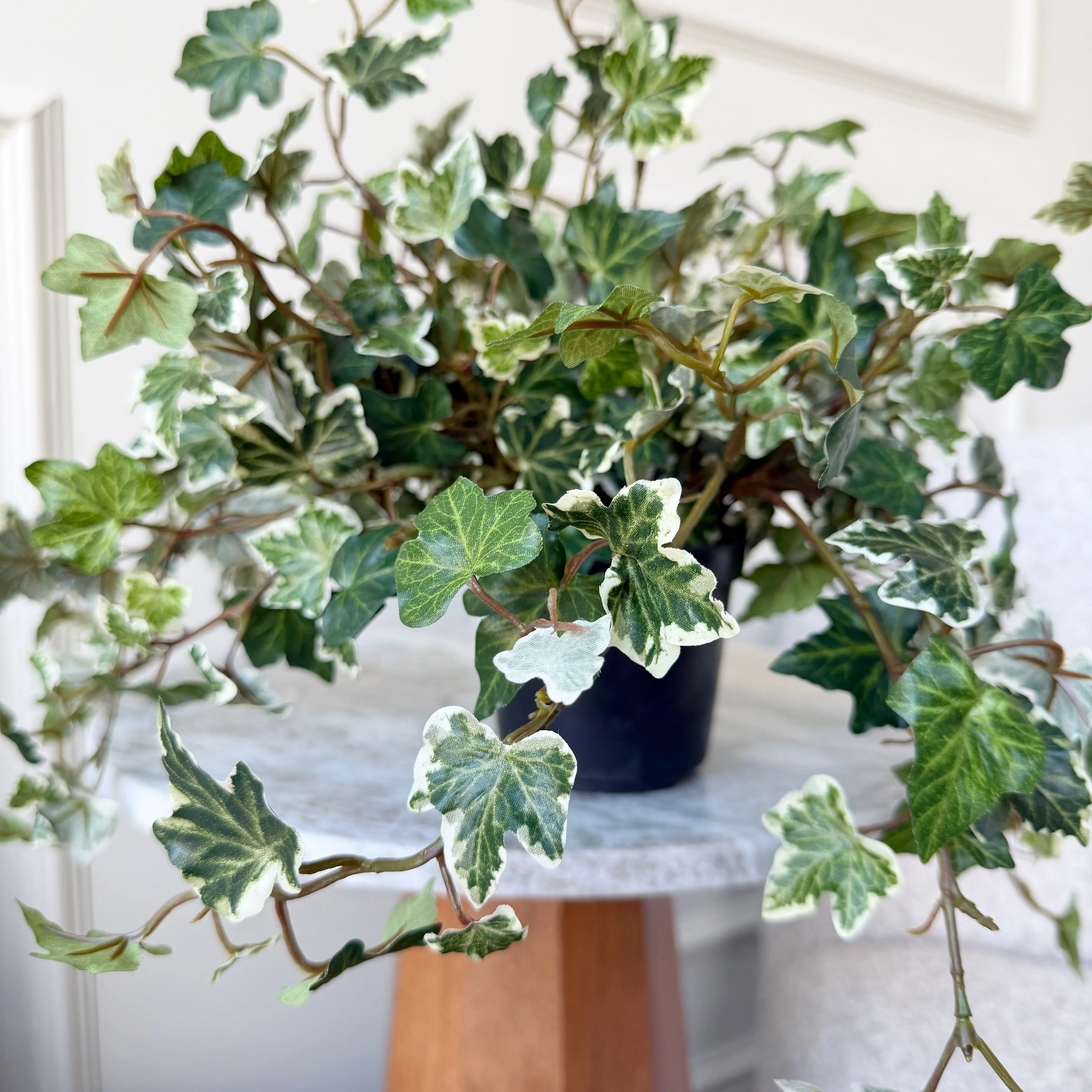 Artificial Green & White Variegated Ivy In Pot - Image 3