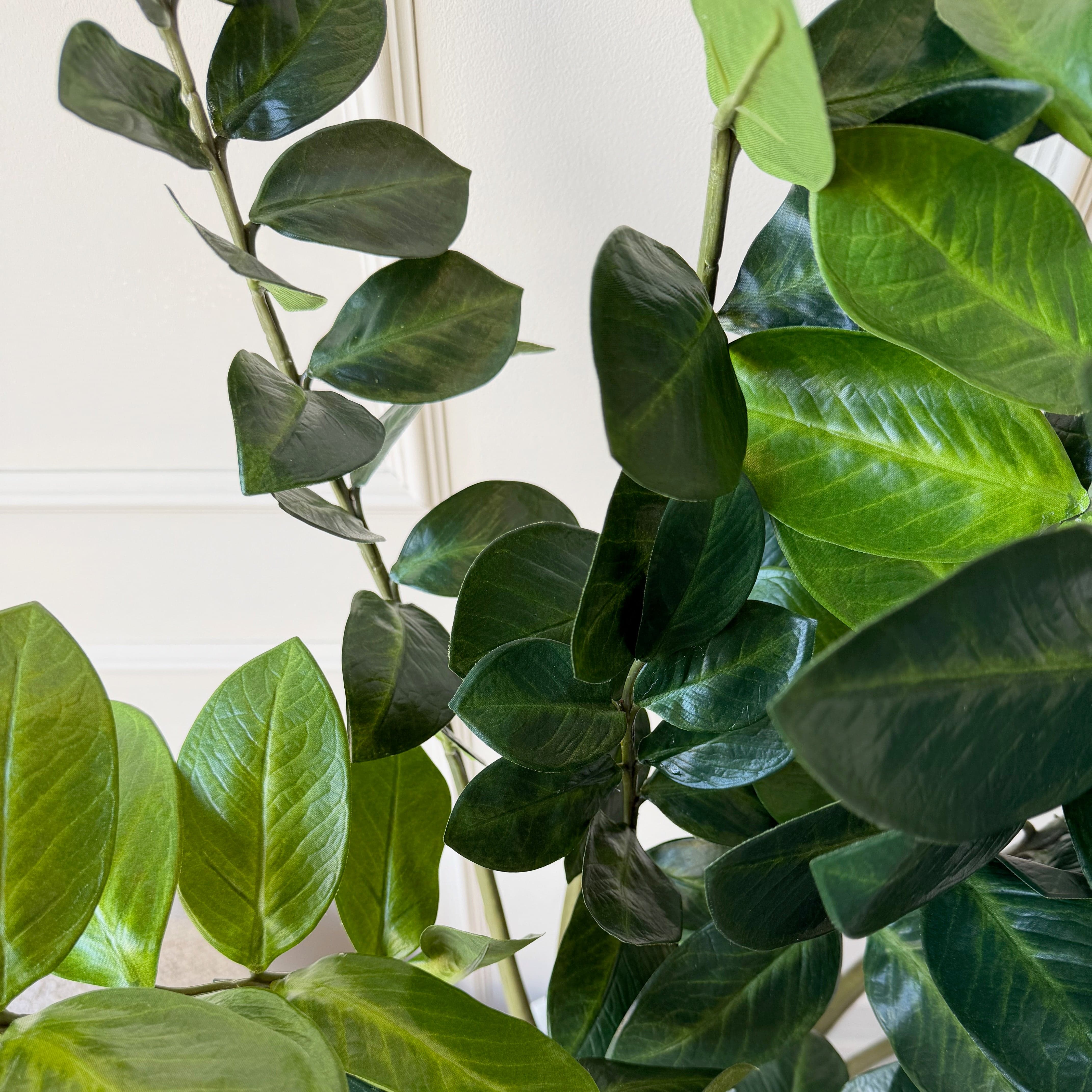 Artificial Large Zamioculcas Plant In Black Pot - Image 4