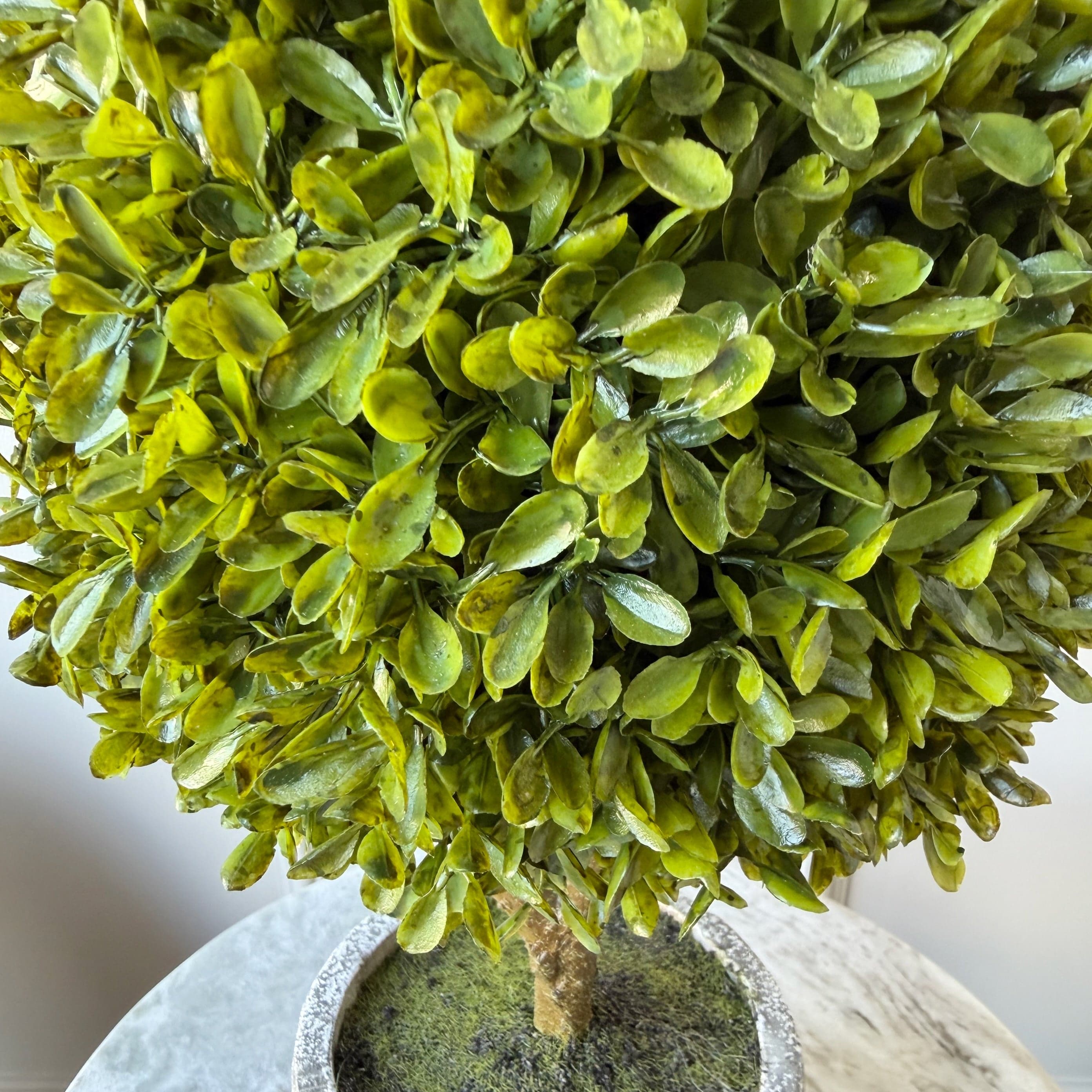 Artificial Green Miniature Boxwood Ball In Stone-look Pot - Image 3