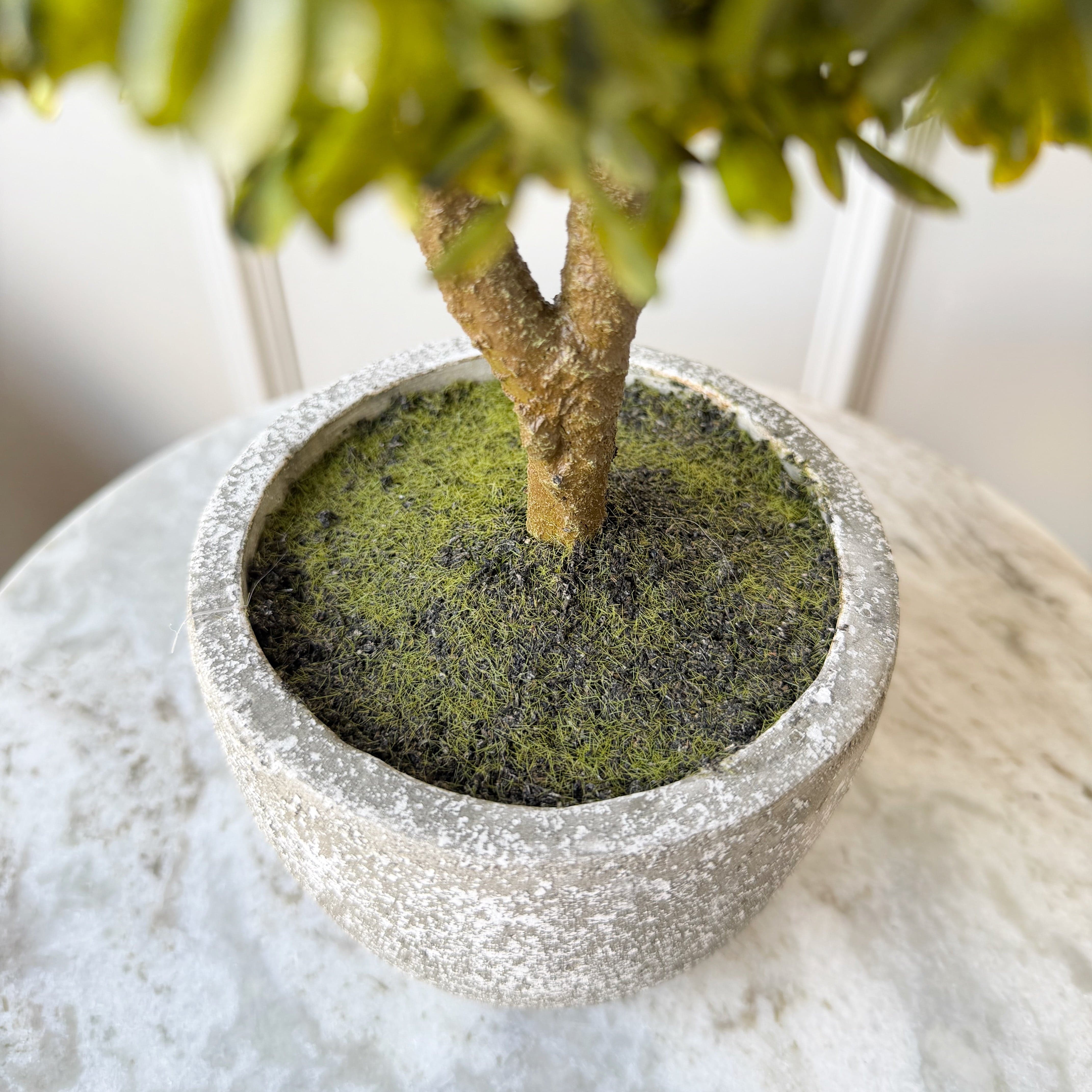 Artificial Green Miniature Boxwood Ball In Stone-look Pot - Image 4