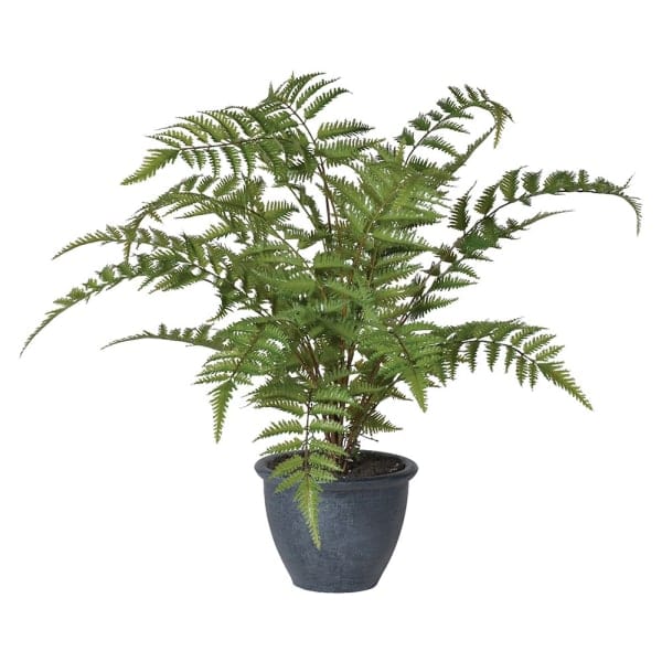 Artificial Green Bracken Fern in Dark Grey Pot - Image 4