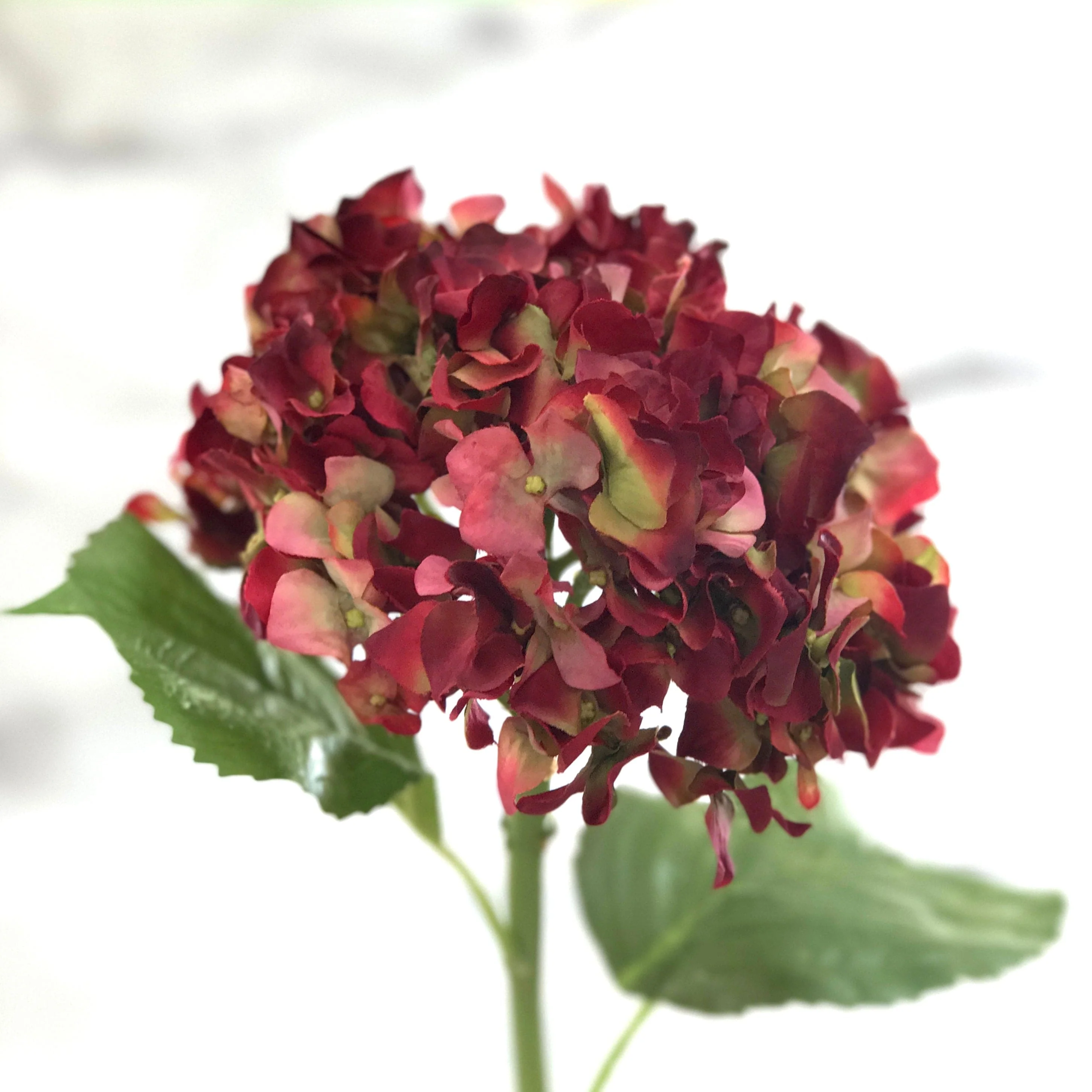 Artificial Red Dried Hydrangea - Image 6