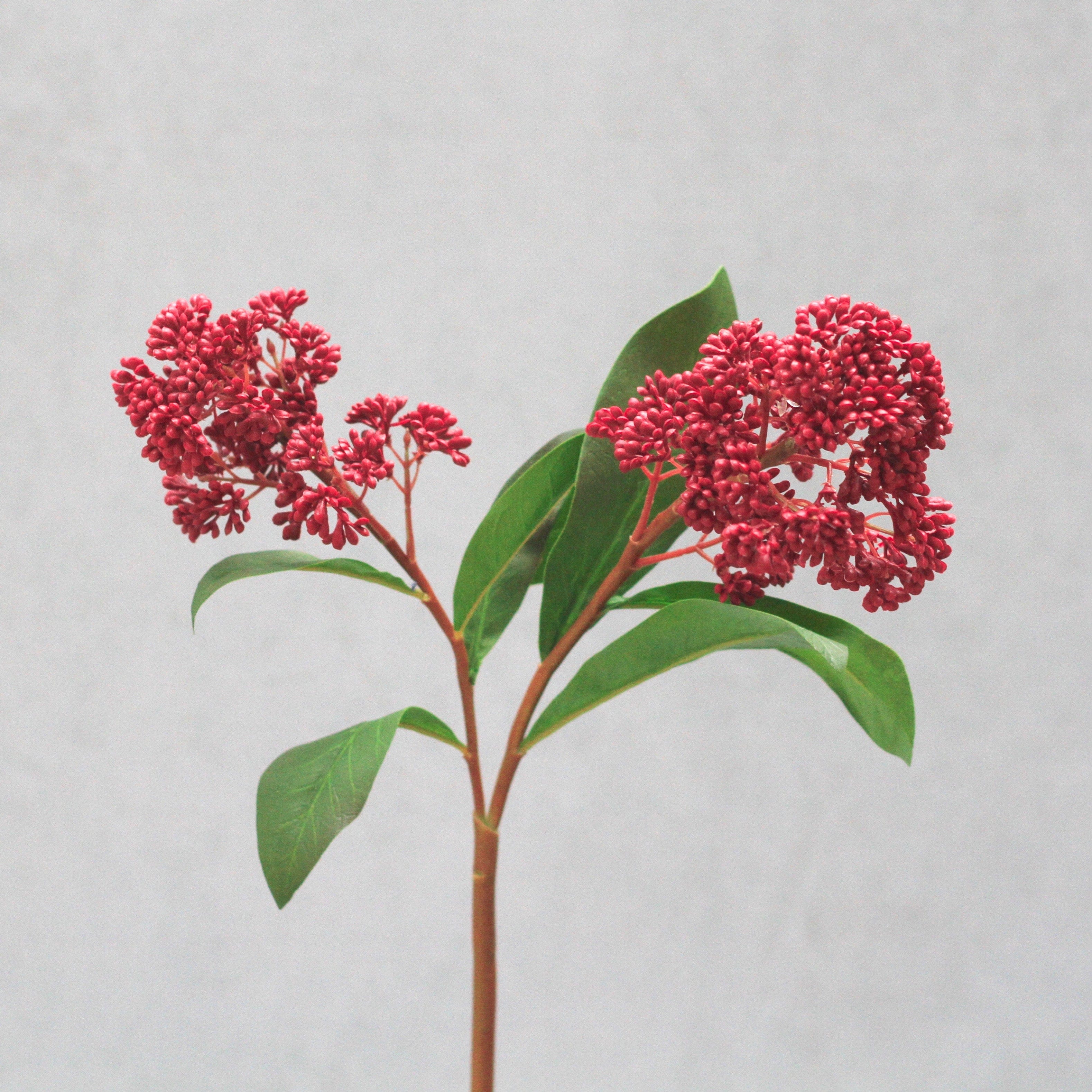 Artificial Red Skimmia - Image 6