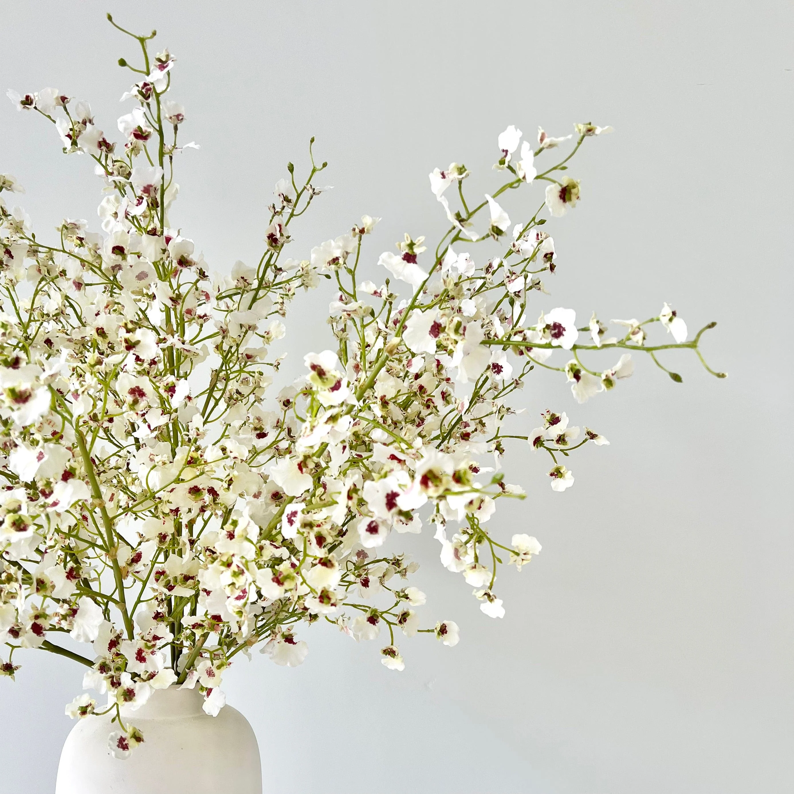 Artificial White Oncidium Orchid - Image 2