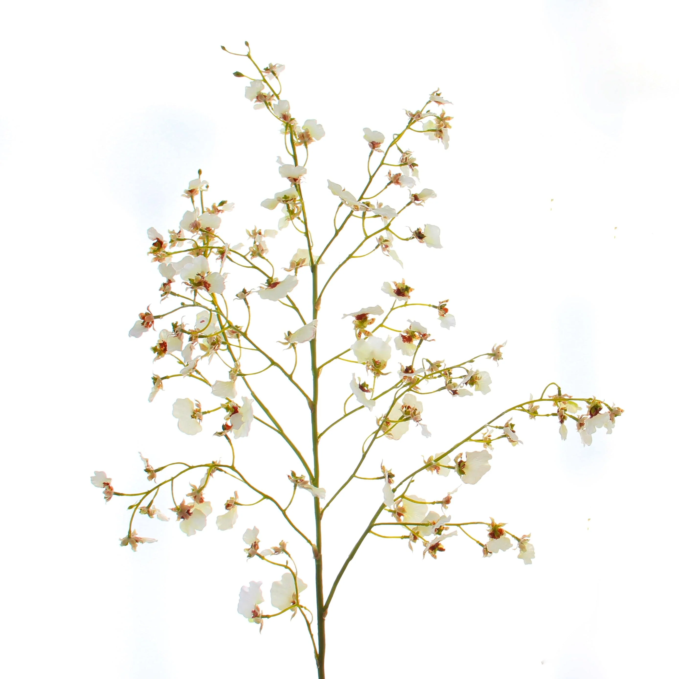 Artificial White Oncidium Orchid - Image 6