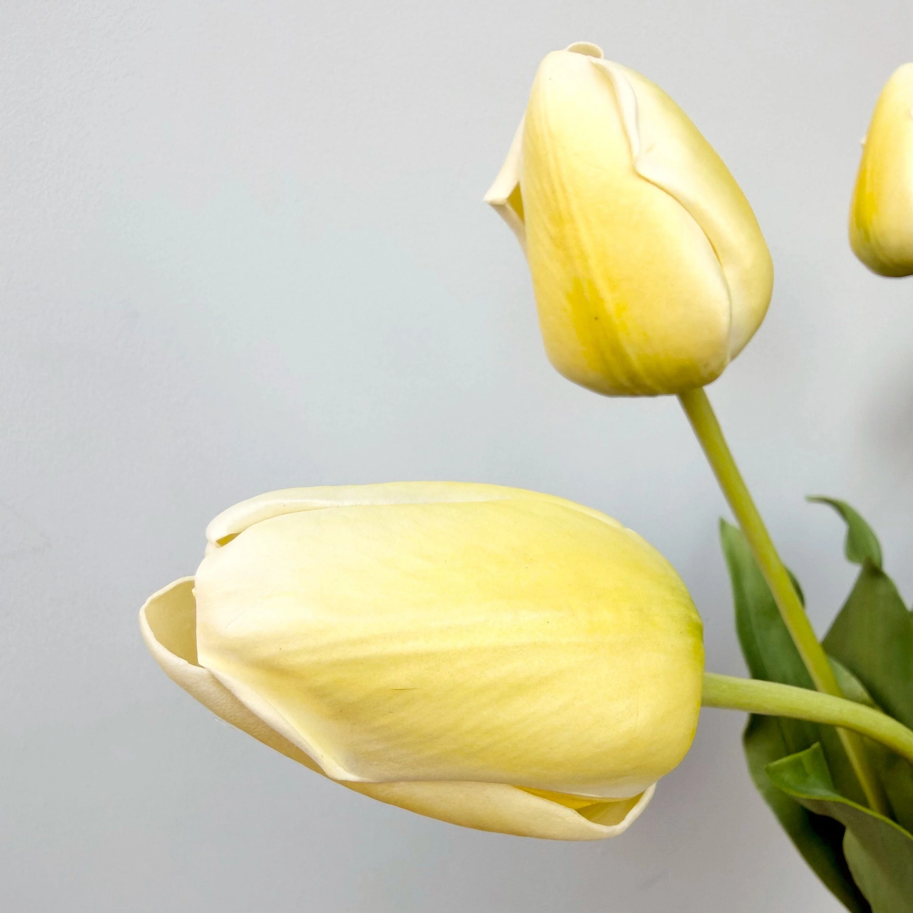 Artificial Yellow Tulip - Image 3
