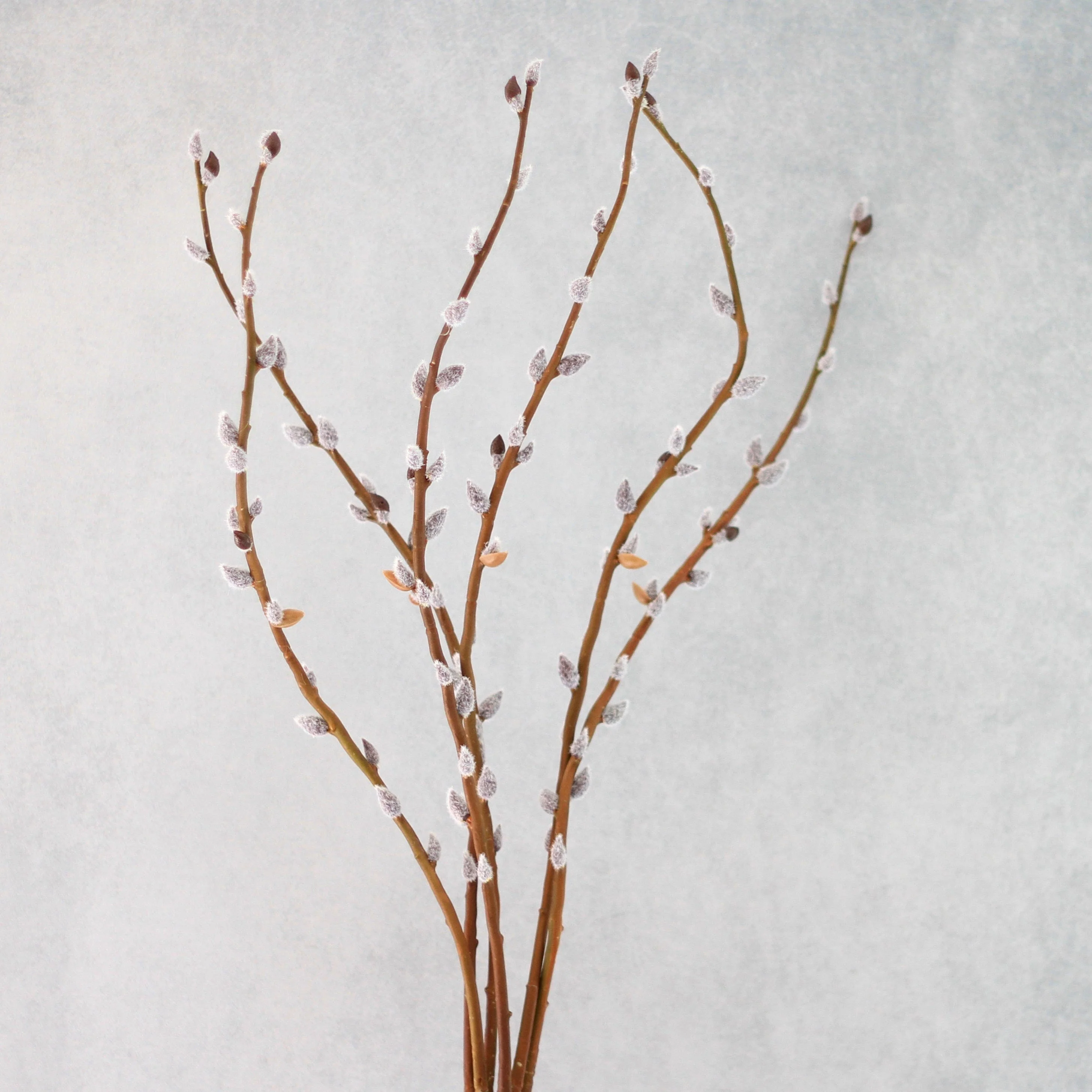 Artificial Brown Pussy Willow - Image 3