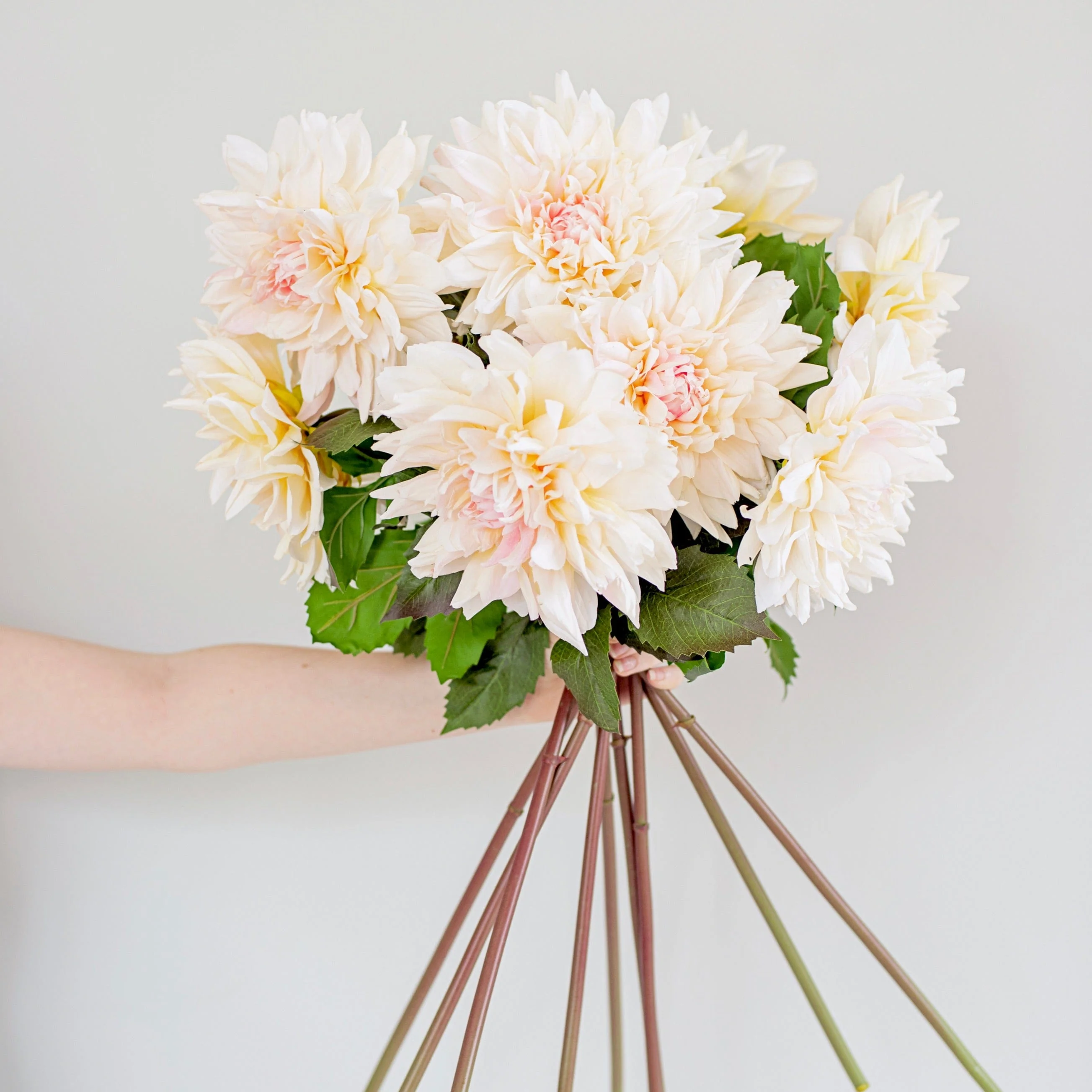 Artificial Cafe Au Lait Dahlia - Image 5