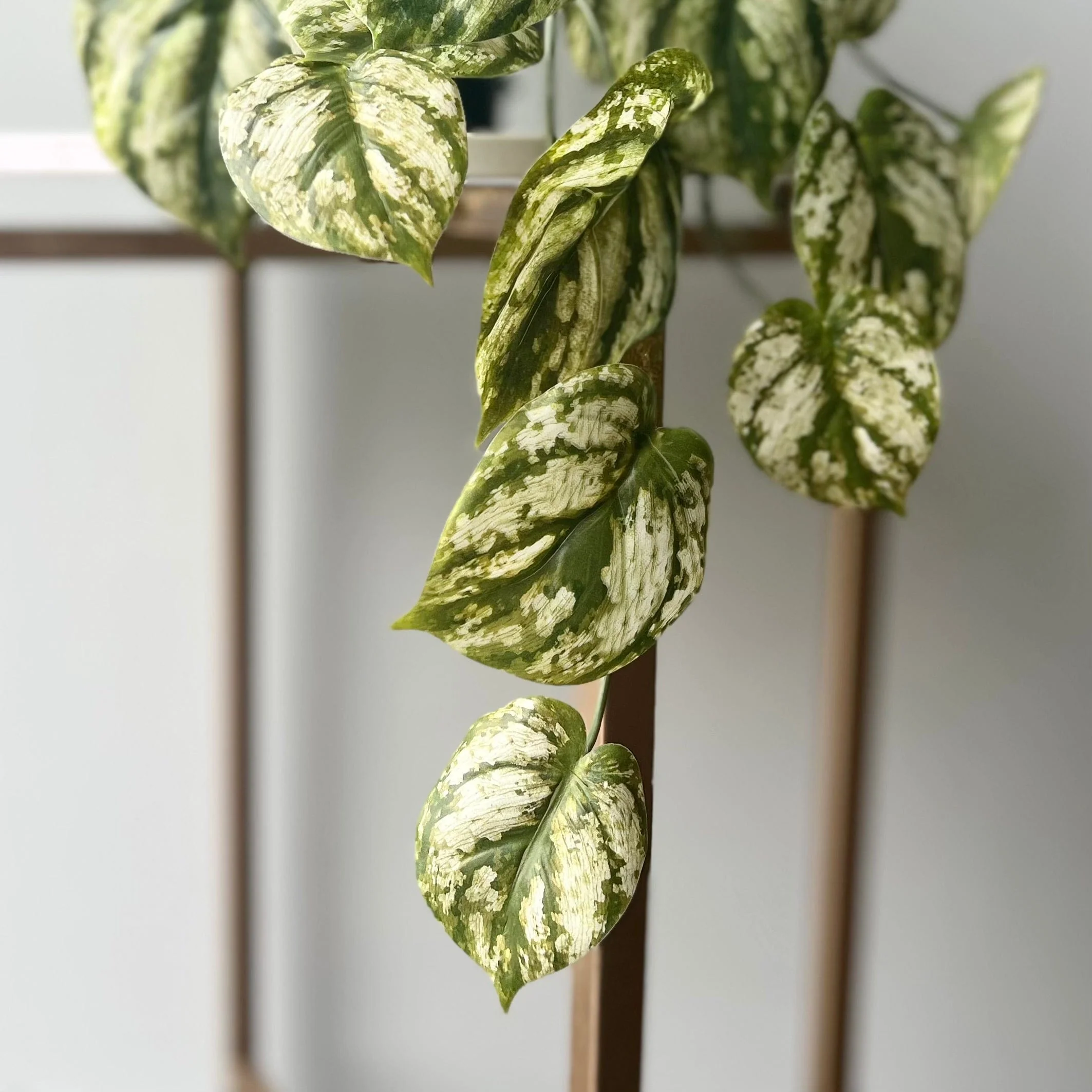 Artificial Green and White Hanging Peperomia Plant in Black Pot - Image 4