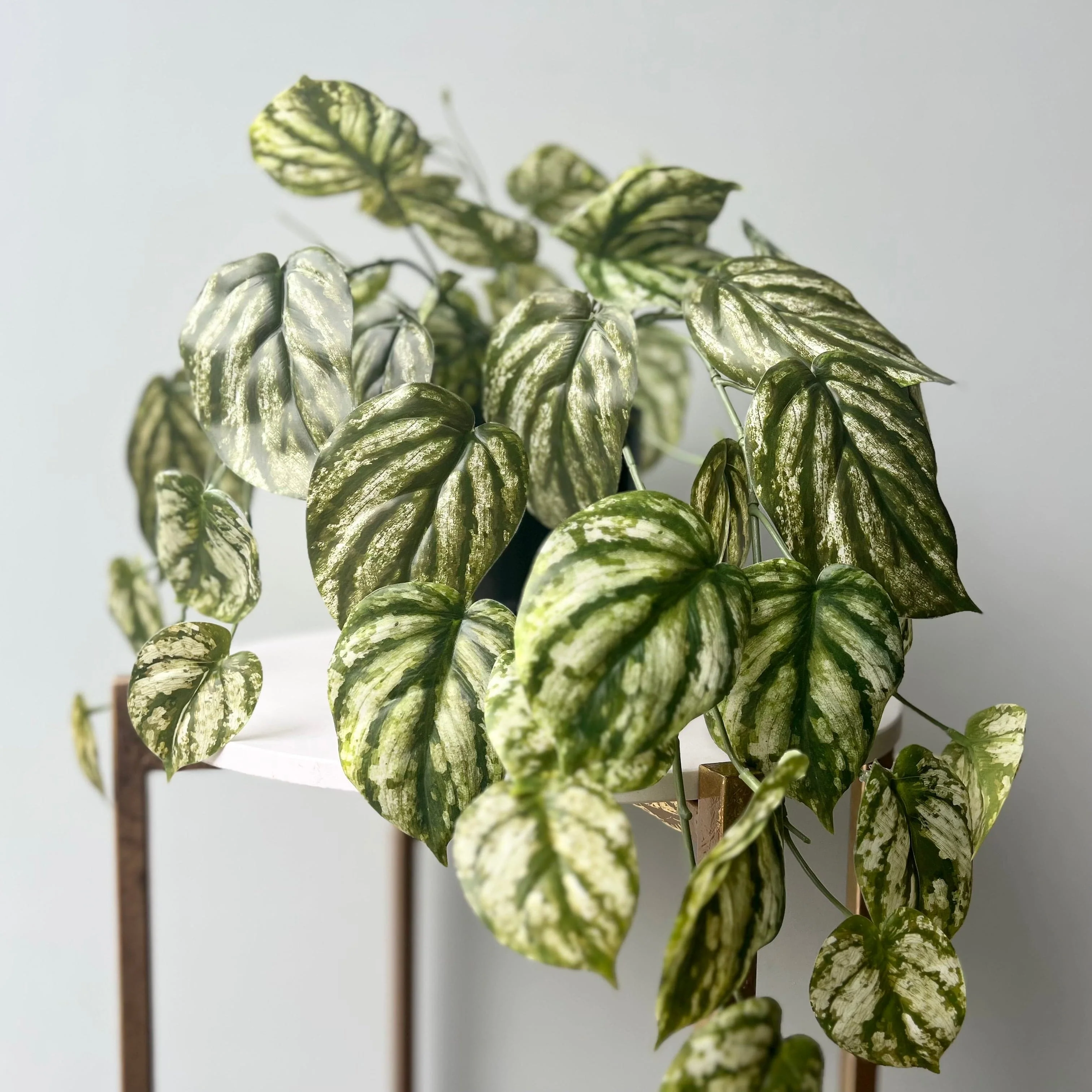 Artificial Green and White Hanging Peperomia Plant in Black Pot - Image 5