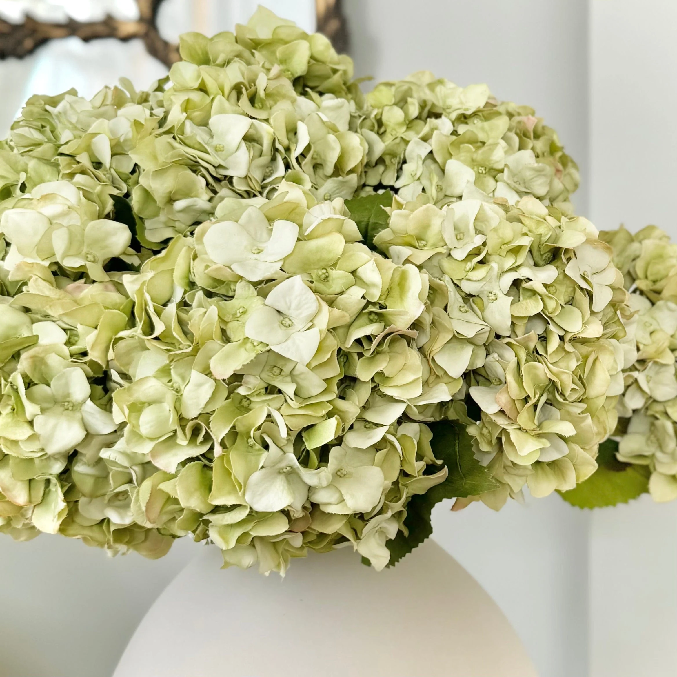 Artificial Green Dried Hydrangea - Image 3