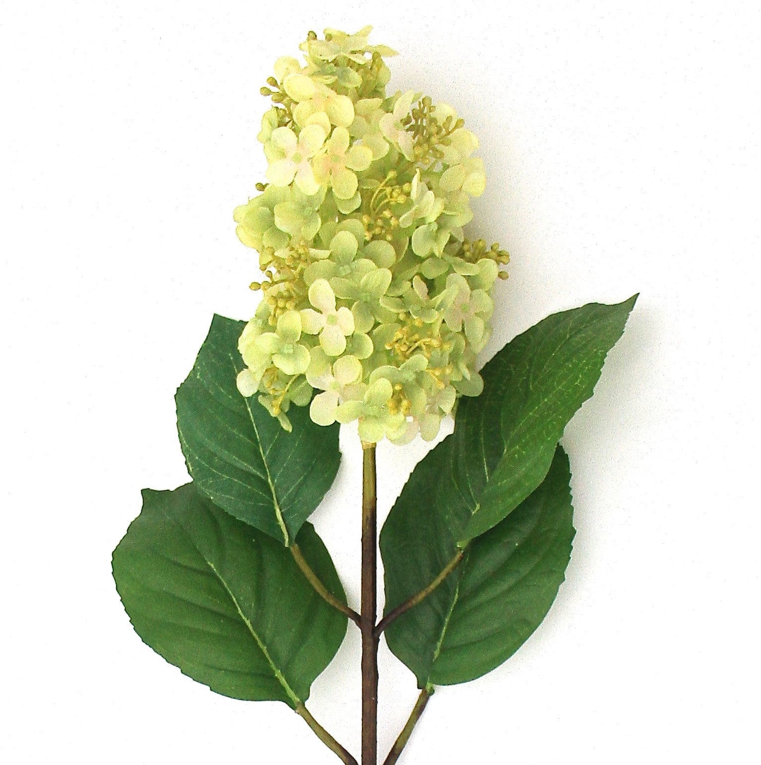 Artificial Green Paniculata Hydrangea - Image 5
