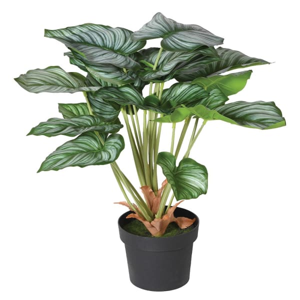 Green Artificial Peacock Plant - Image 3