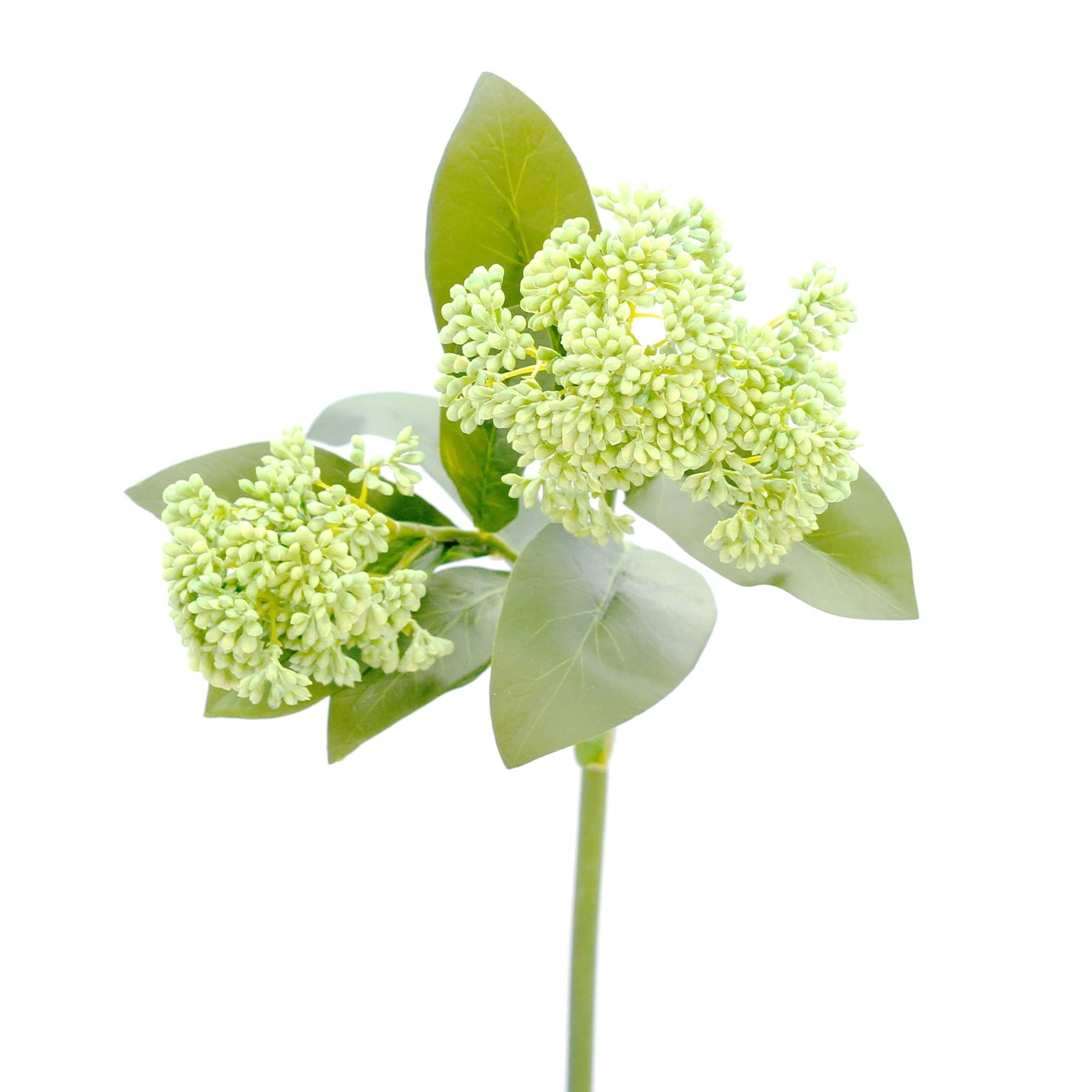 Artificial Green Skimmia - Image 5