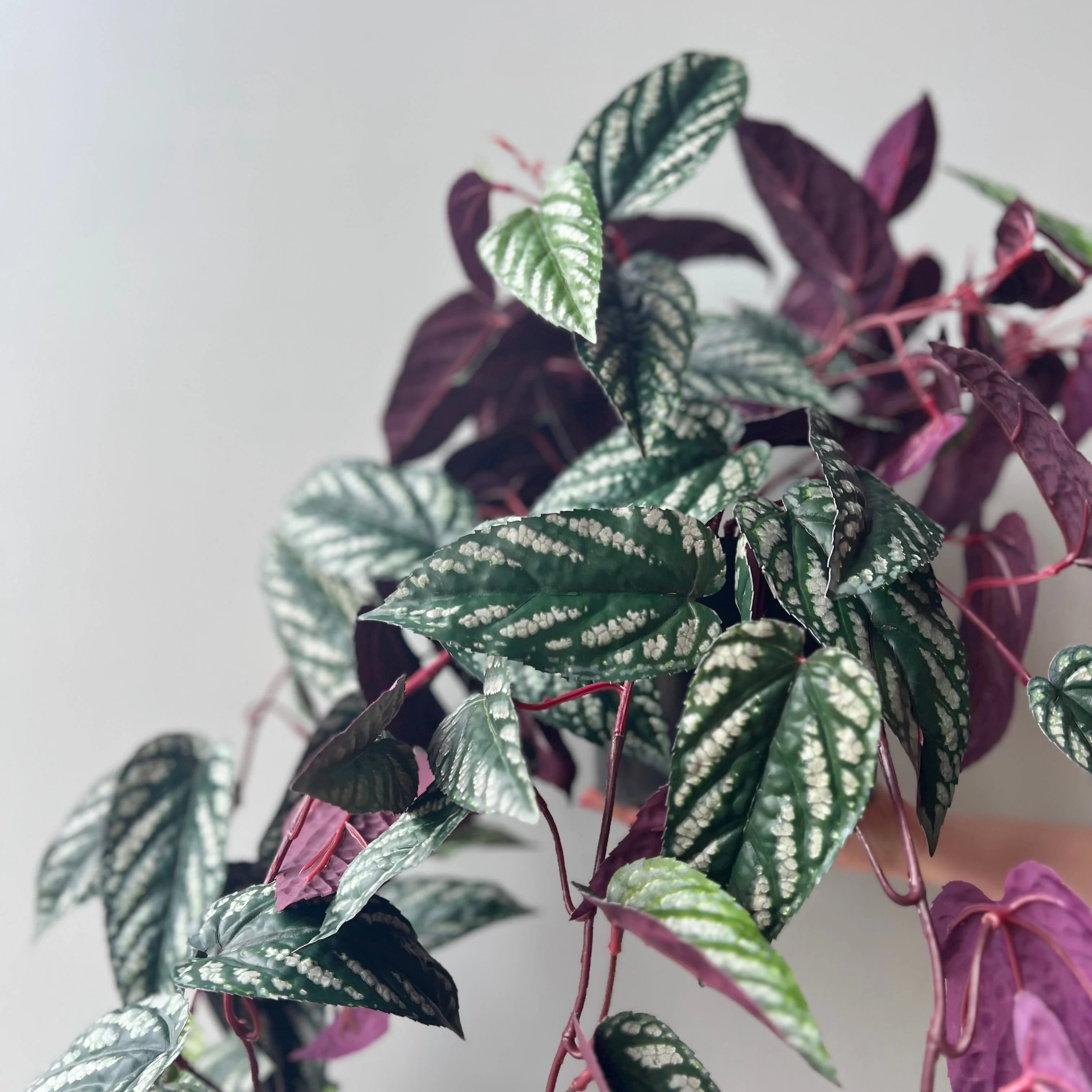 Artificial Large Burgundy Hanging Begonia Vine in Black Pot - Image 3