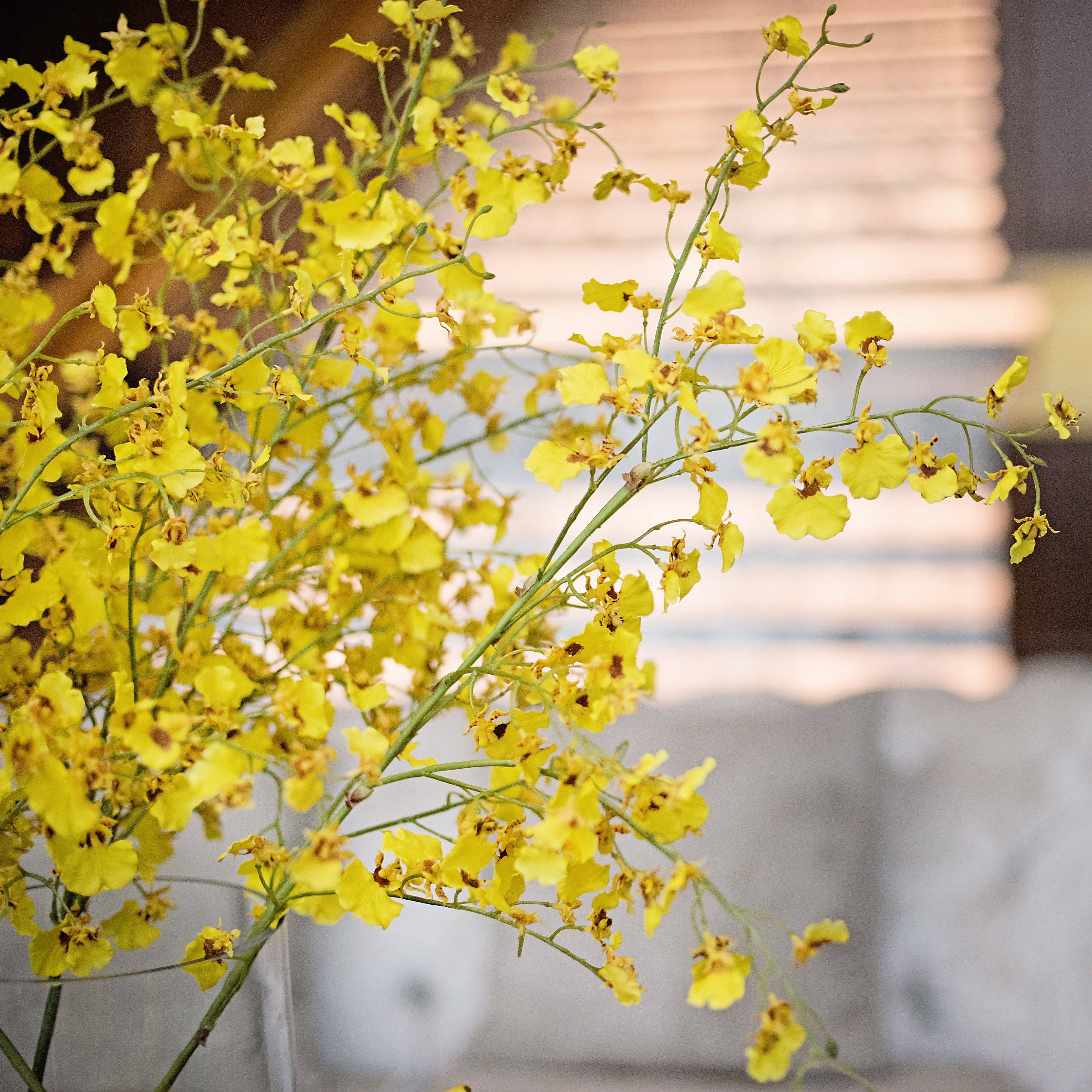 Artificial Yellow Oncidium Orchid - Image 8