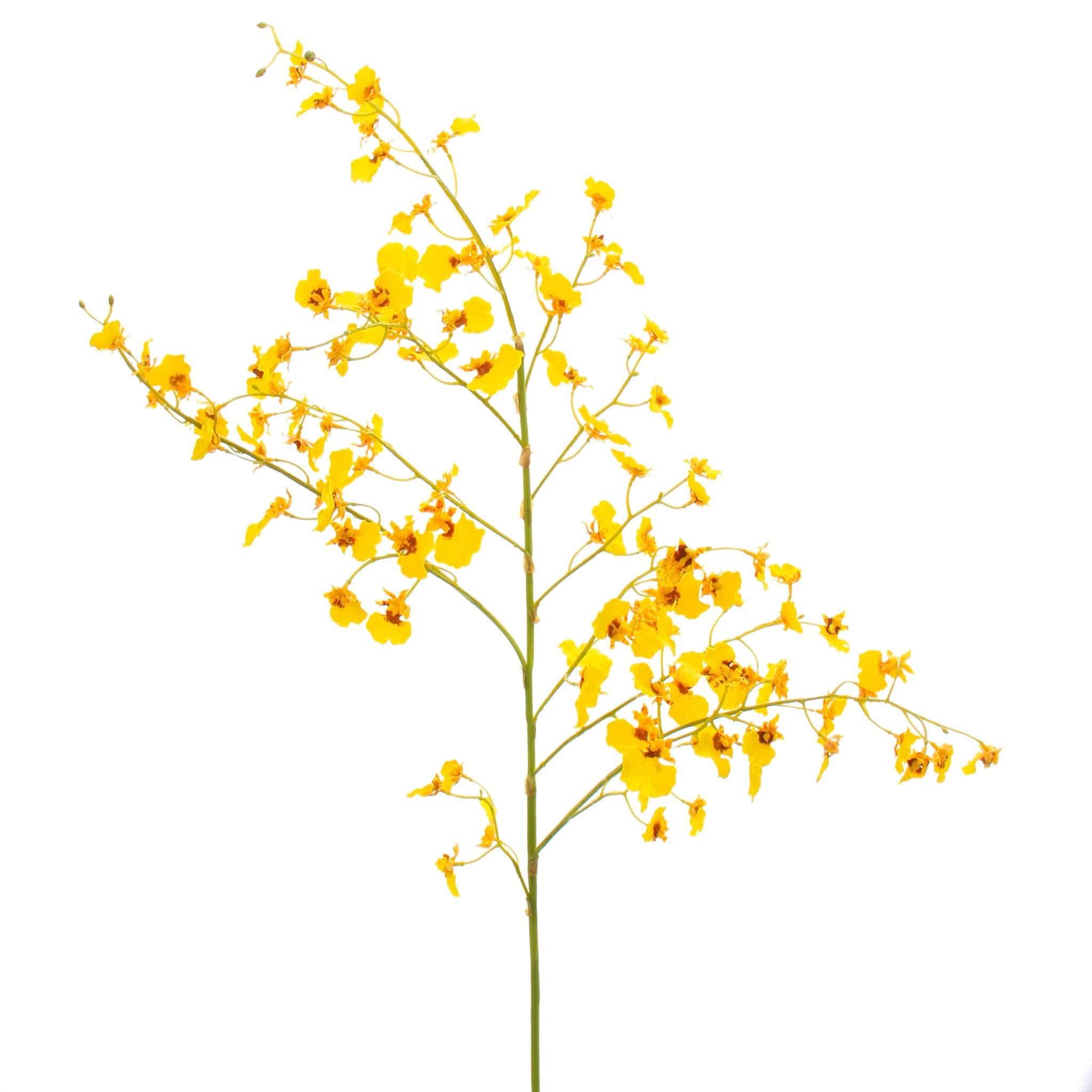 Artificial Yellow Oncidium Orchid - Image 9