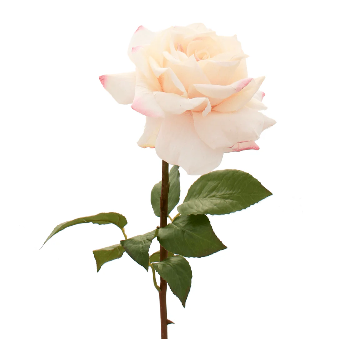 Artificial Blush Pink Tea Rose - Image 10