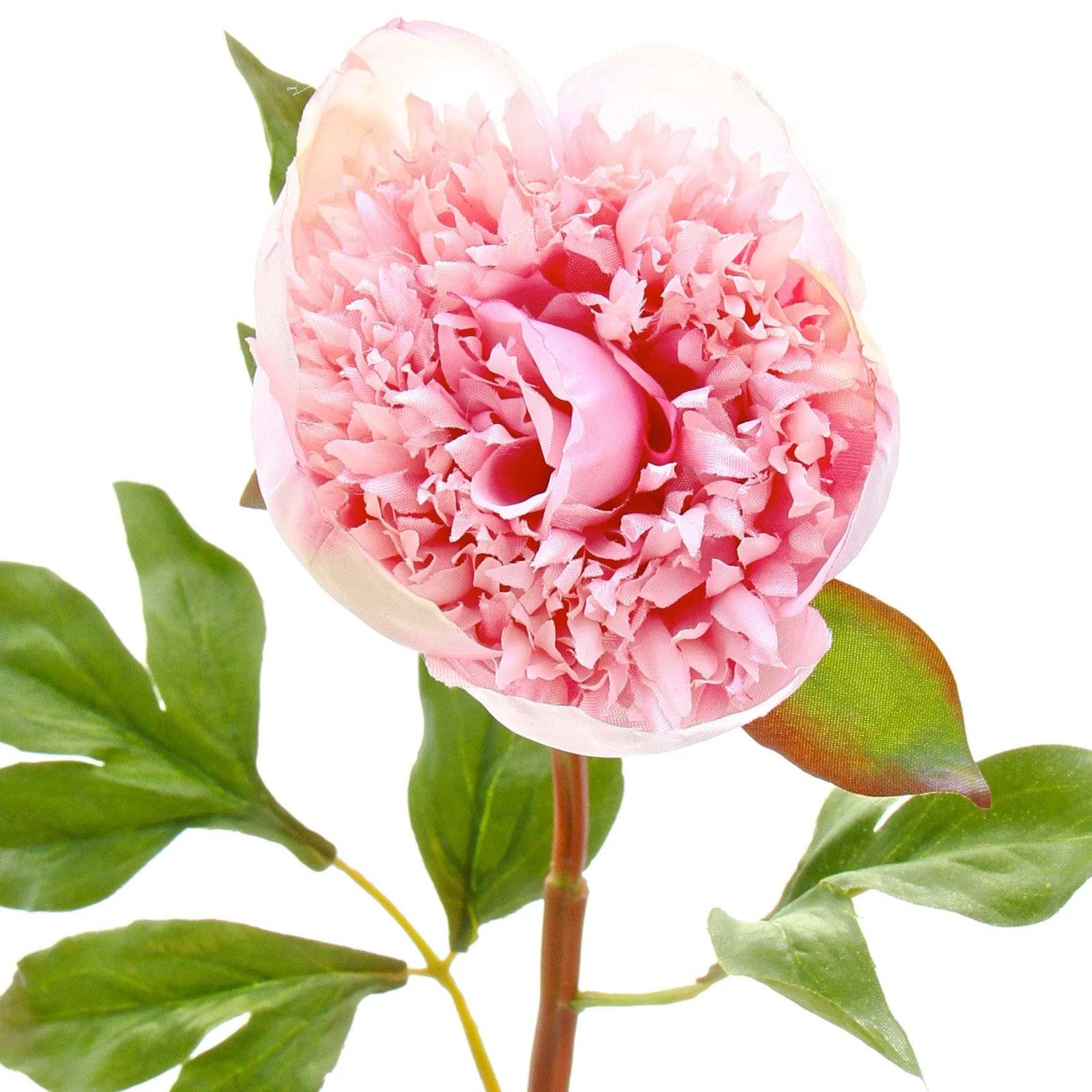 Artificial Pink Open Peony - Image 6