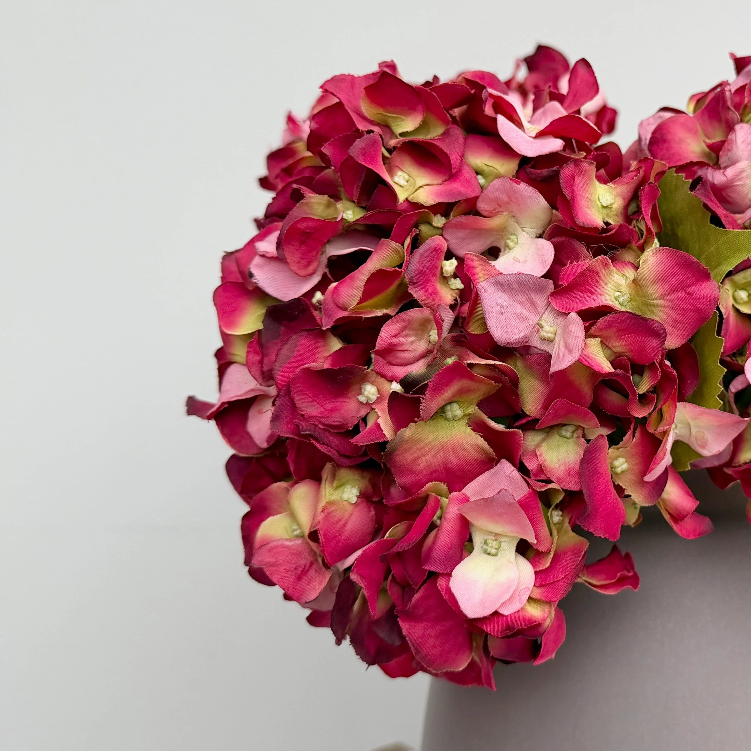 Red Dried Hydrangea Bouquet & Kemble Vase Set - Image 2