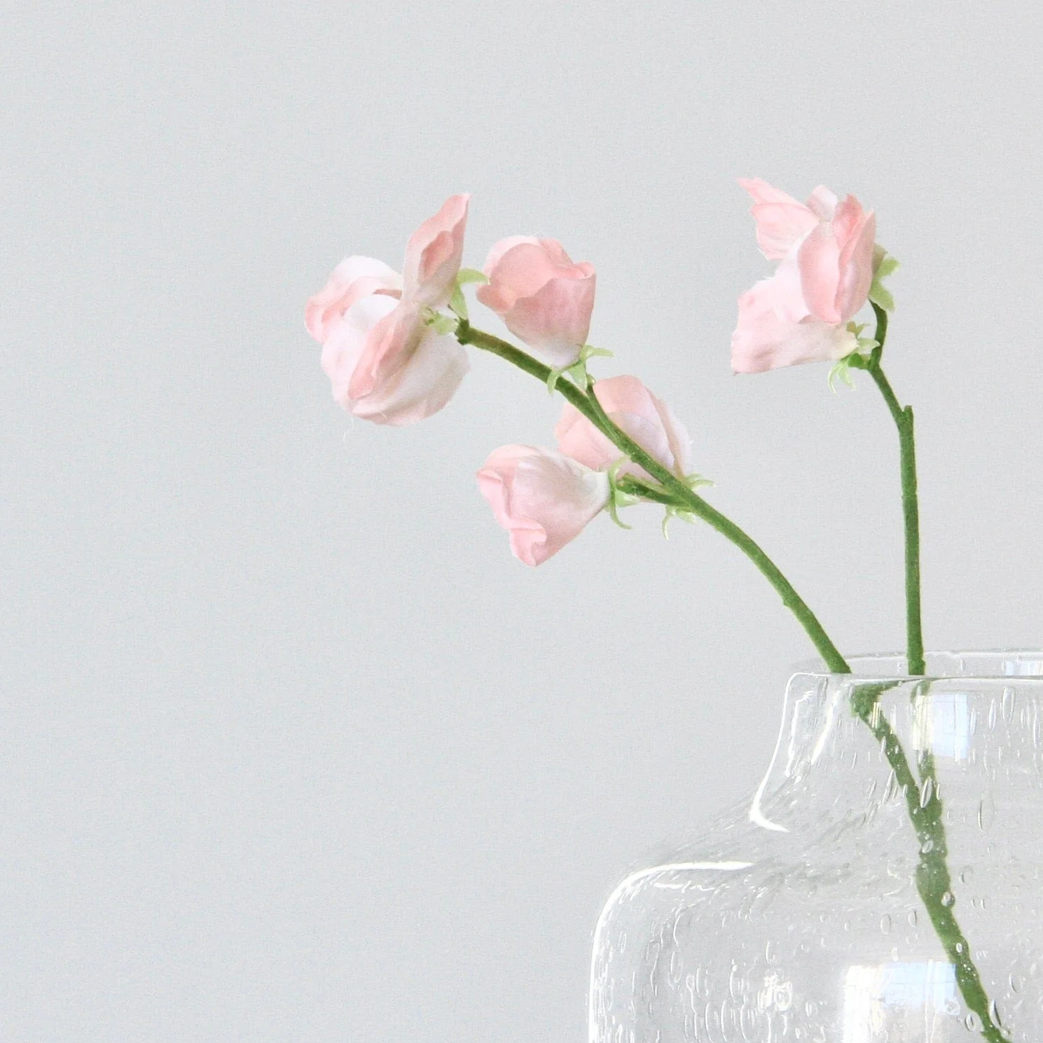 Artificial Small Light Pink Sweet Pea - Image 3