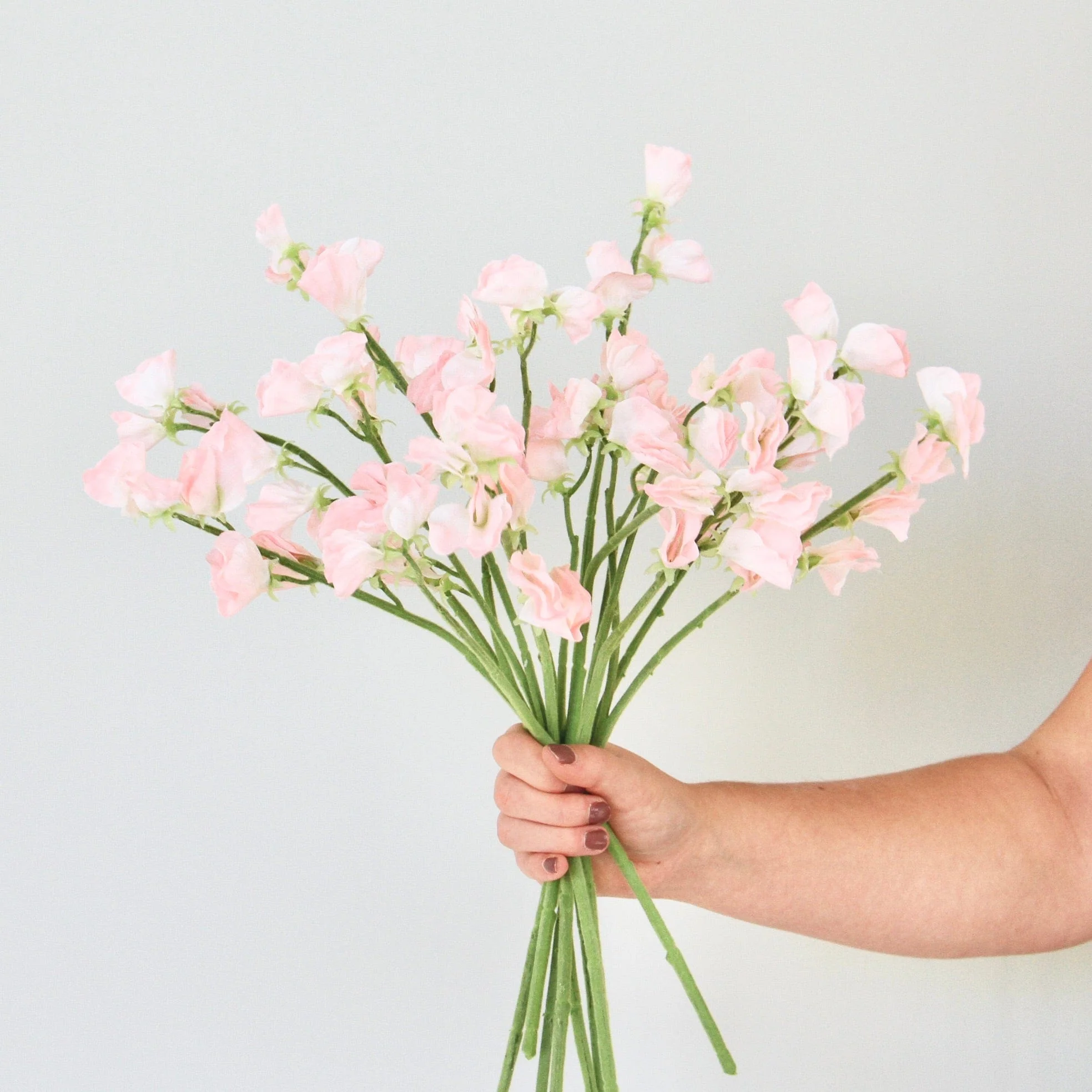 Artificial Small Light Pink Sweet Pea - Image 4