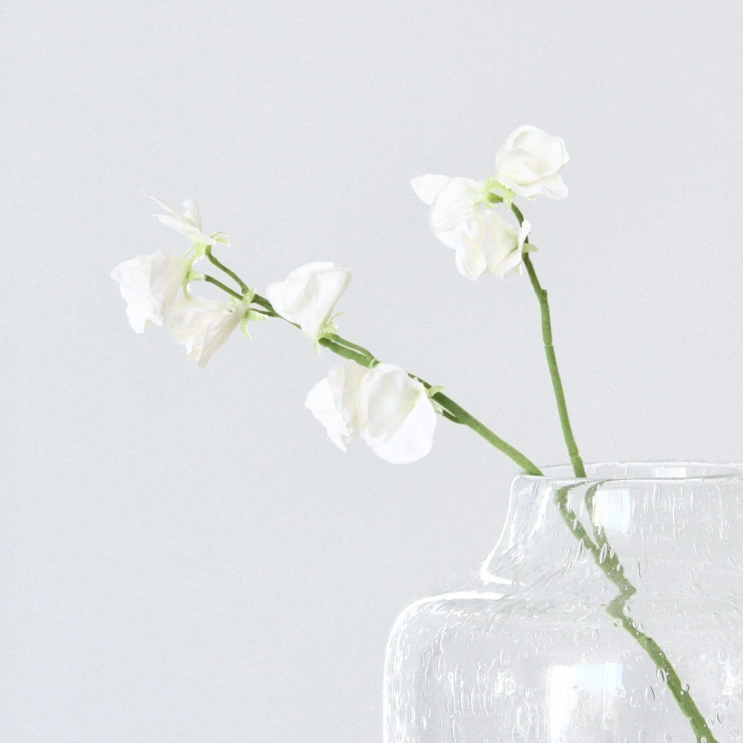 Artificial Small White Sweet Pea - Image 4