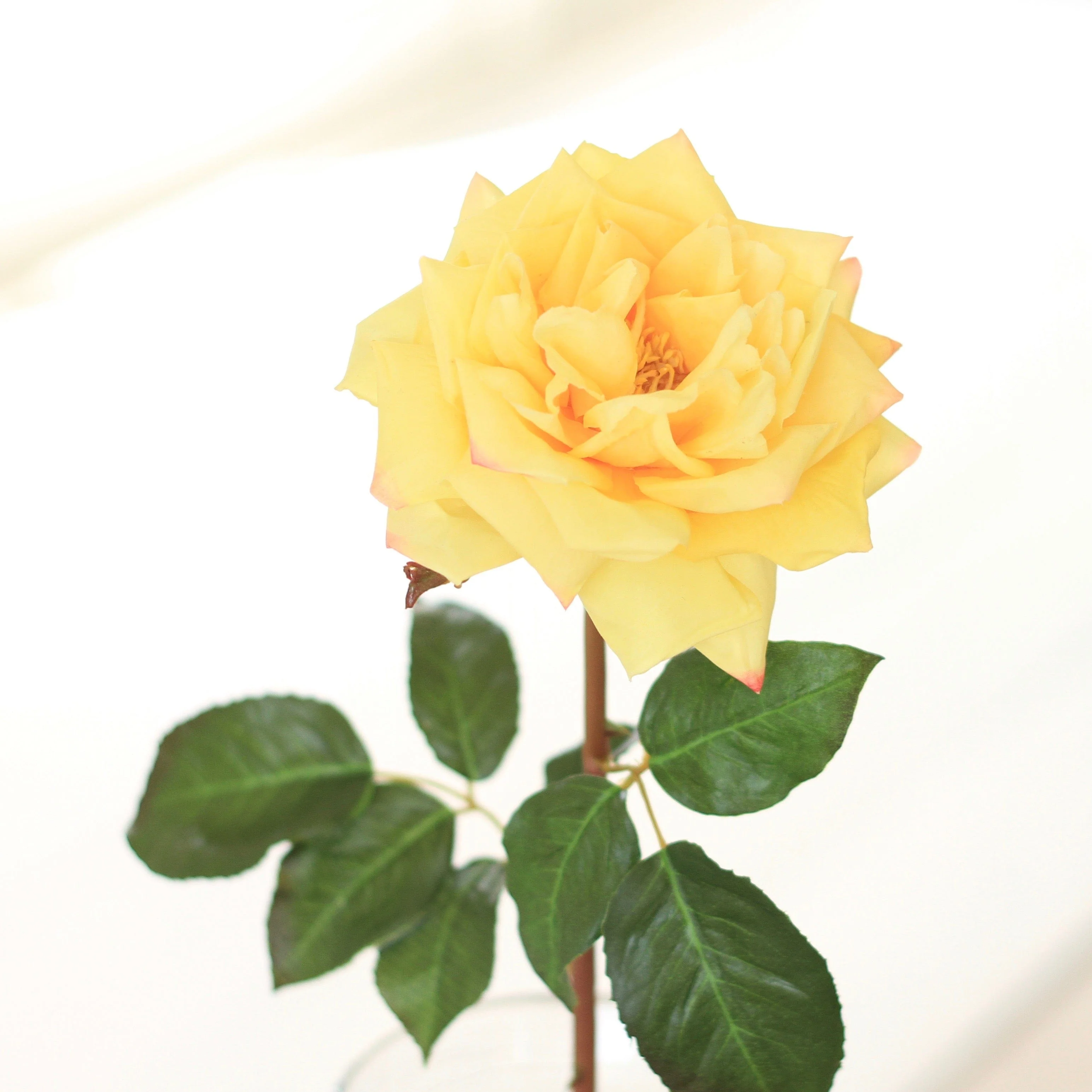 Artificial Yellow Garden Rose - Image 6