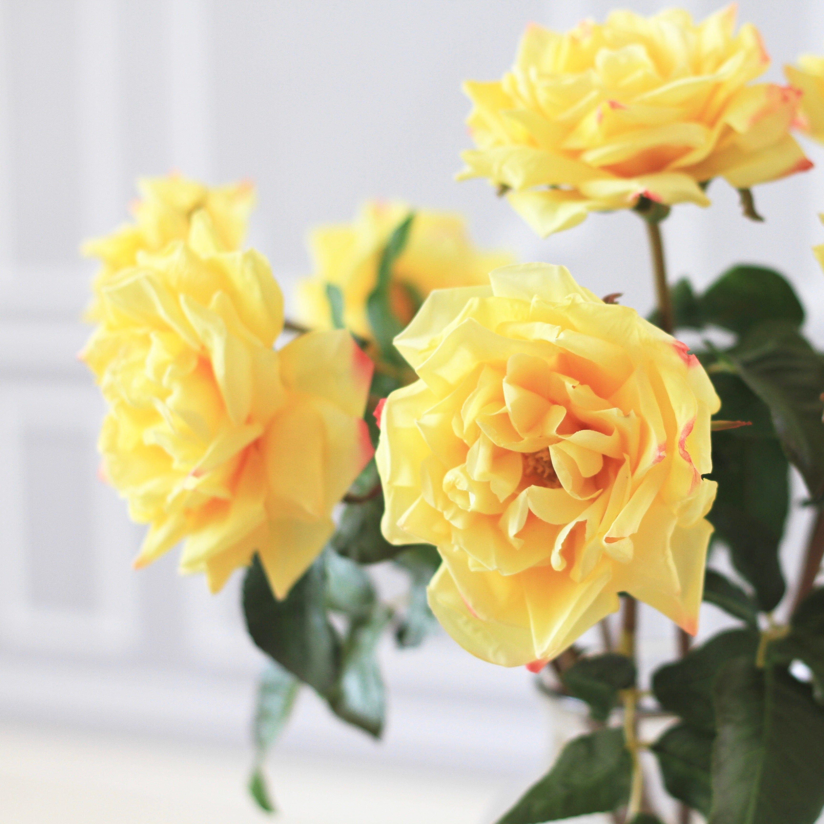 Artificial Yellow Garden Rose - Image 7